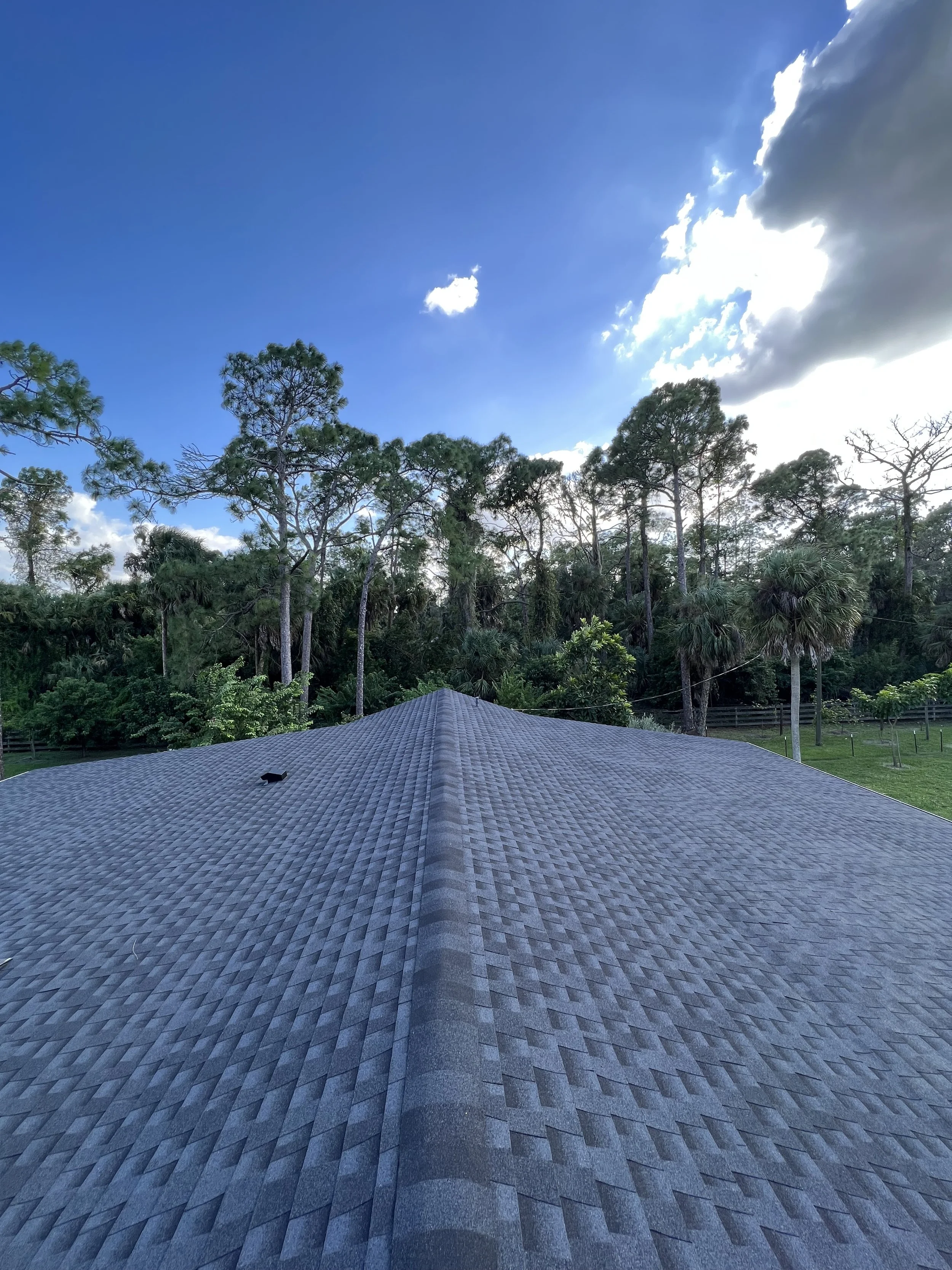 View of a gray shingled roof with trees and a partly cloudy blue sky in the background.
