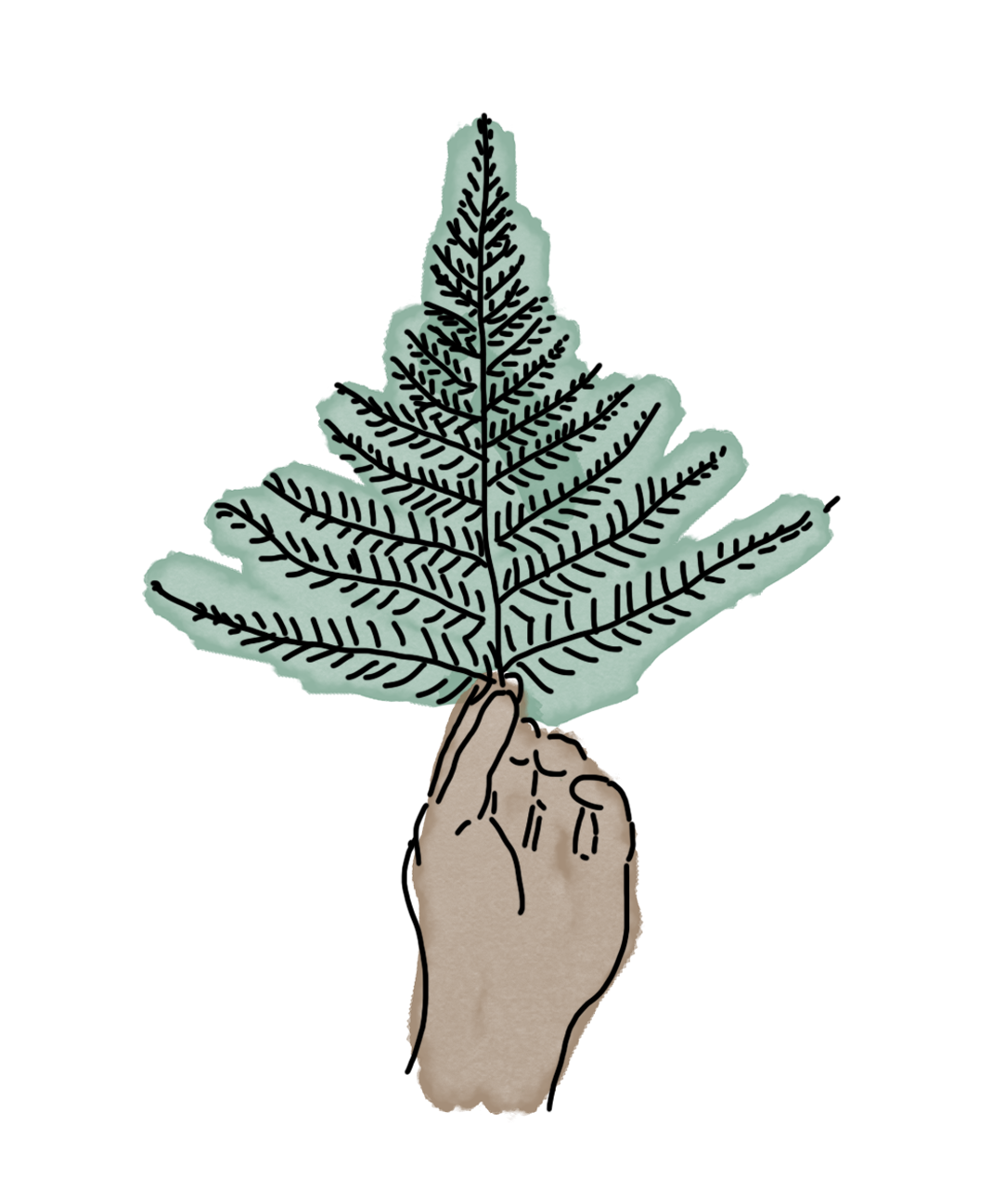 Illustration of a hand holding a fern.