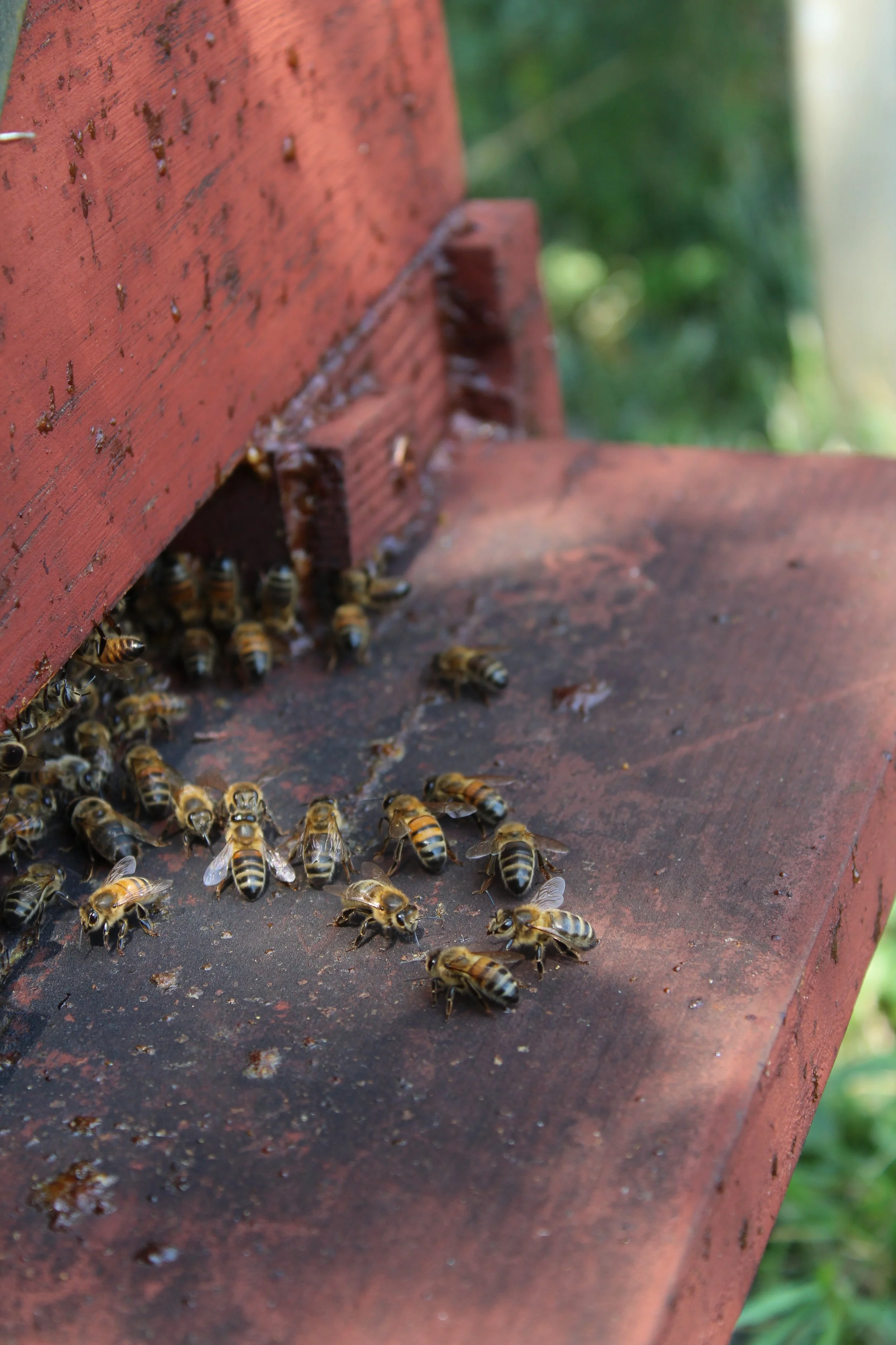 Skincare hydratante pour les peaux sèches et abimées.
