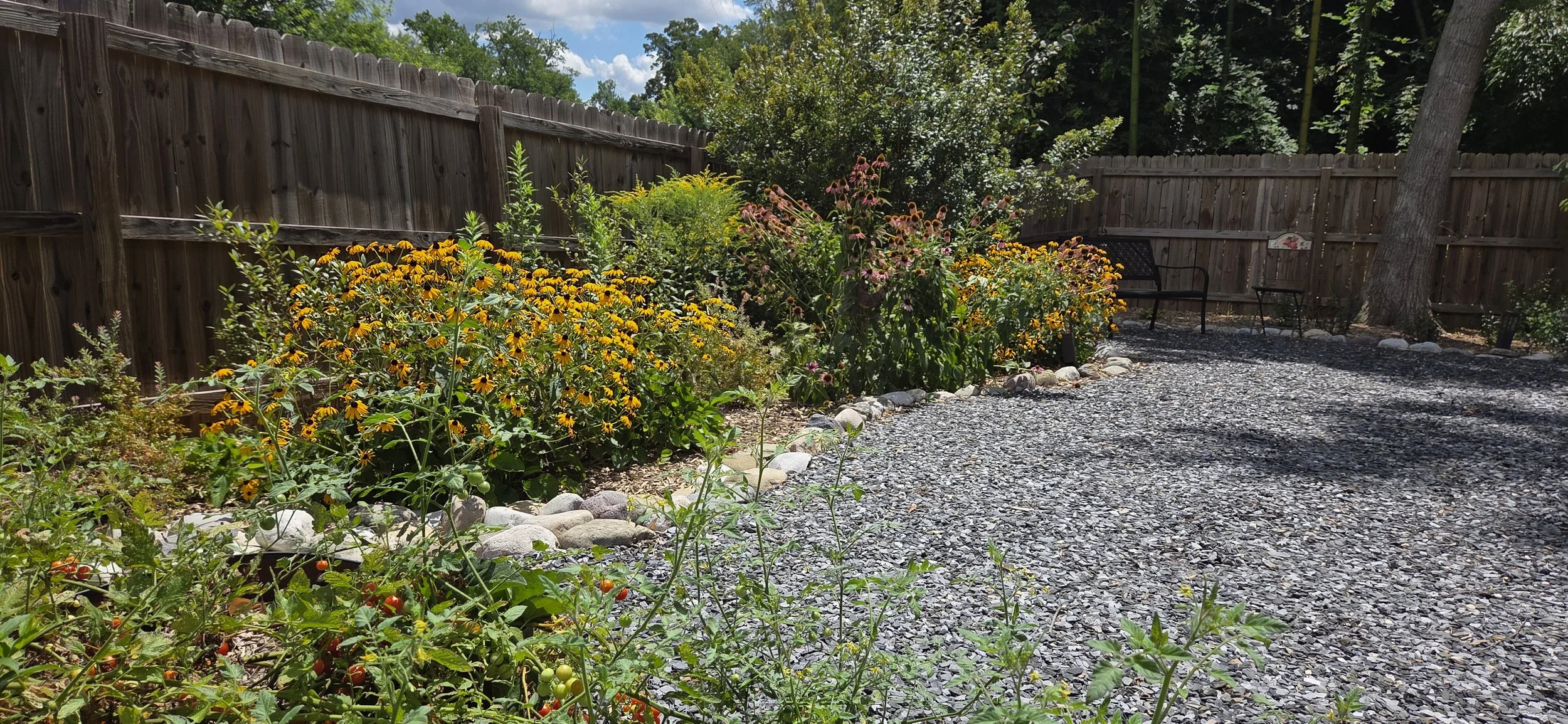 20250725_121817.jpg
