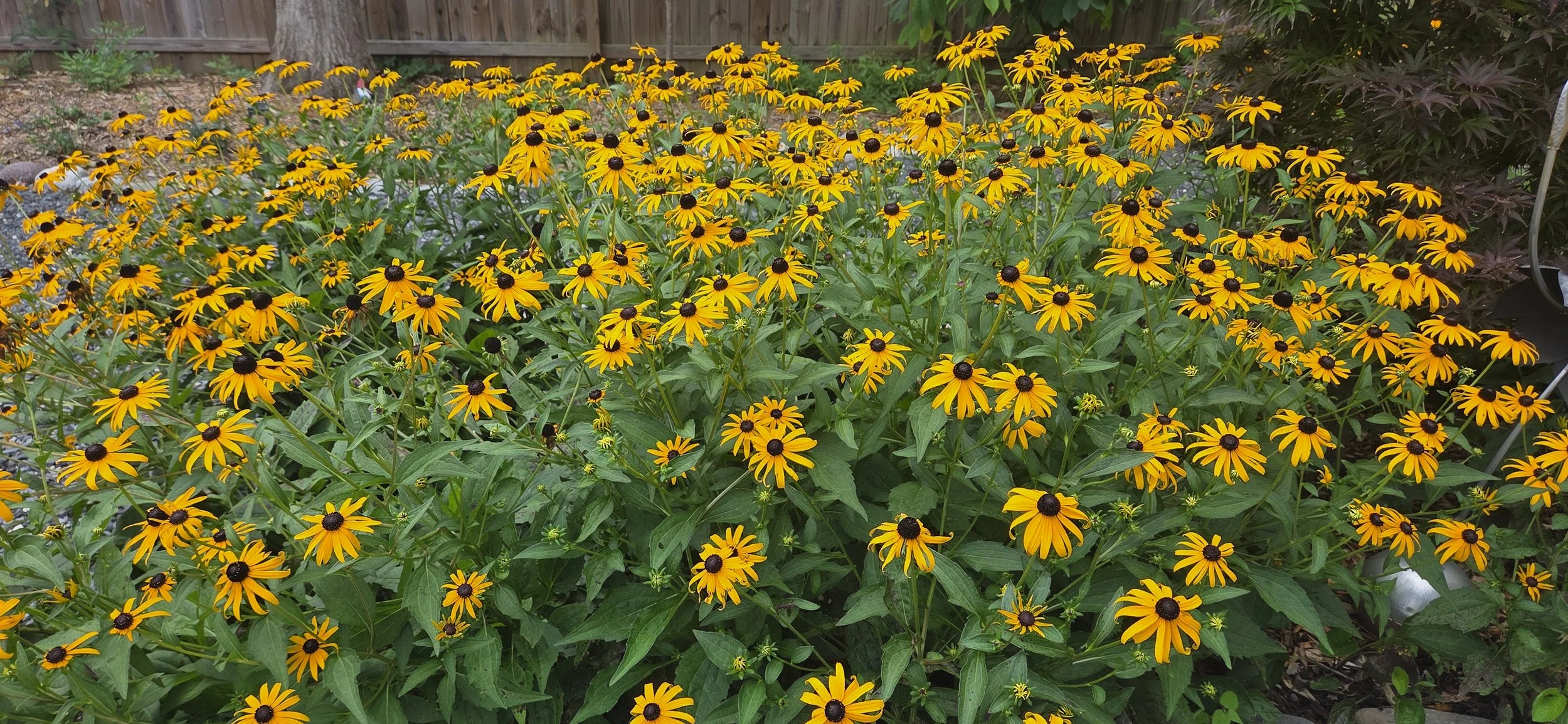 20260715_120804.jpg