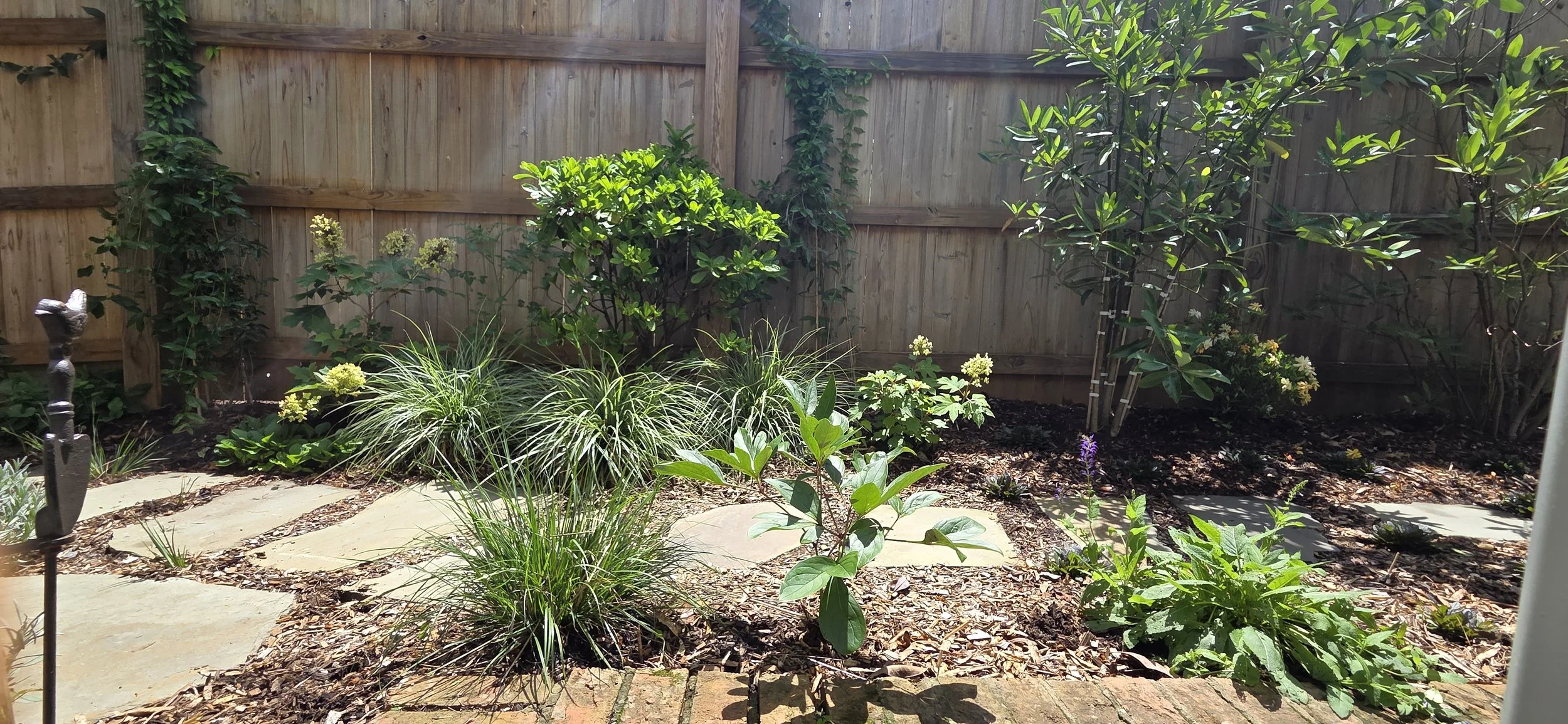 20260617_121905.jpg