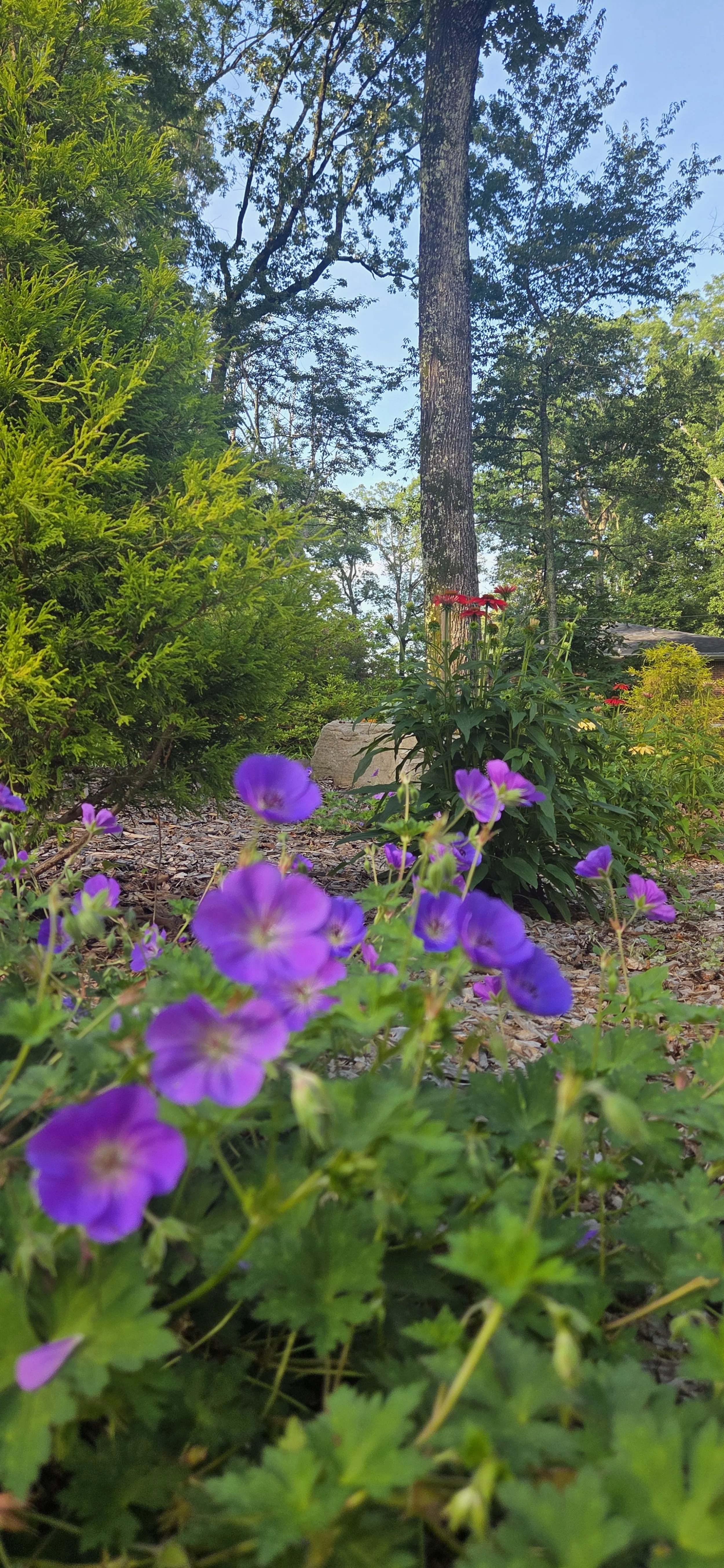20250528_185955.jpg