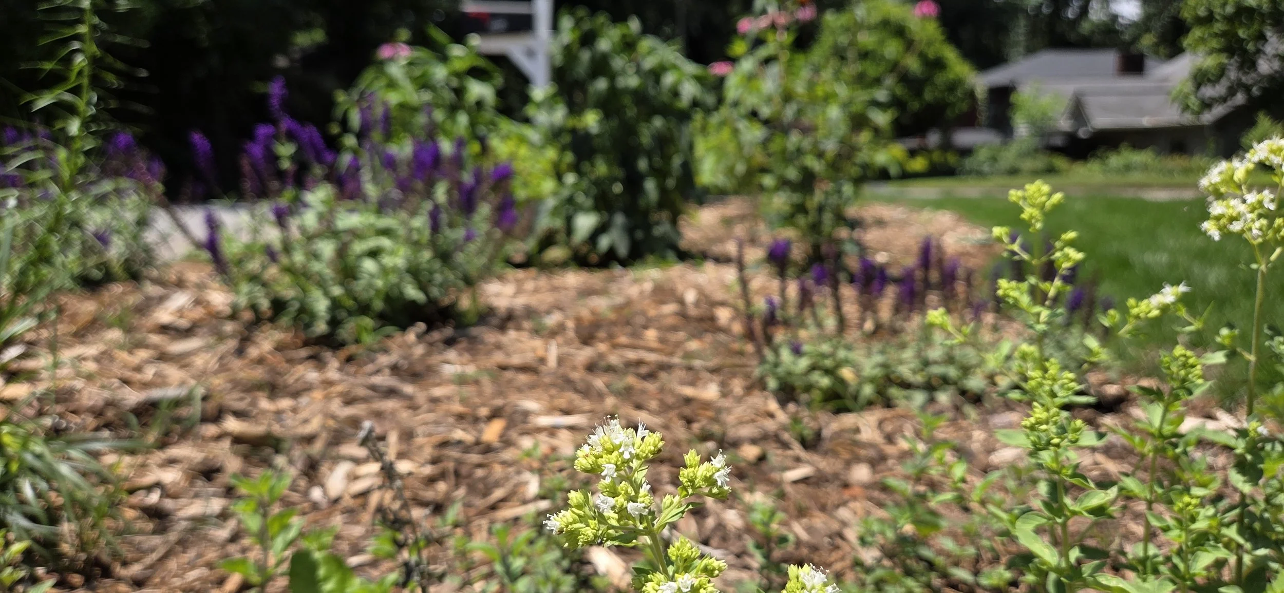 20260605_132646.jpg