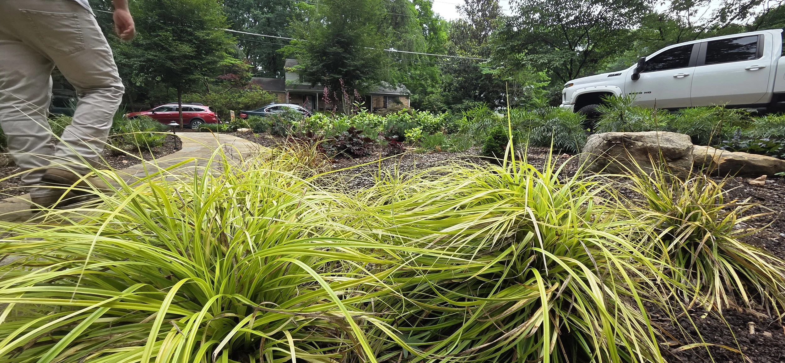 20260609_131517.jpg