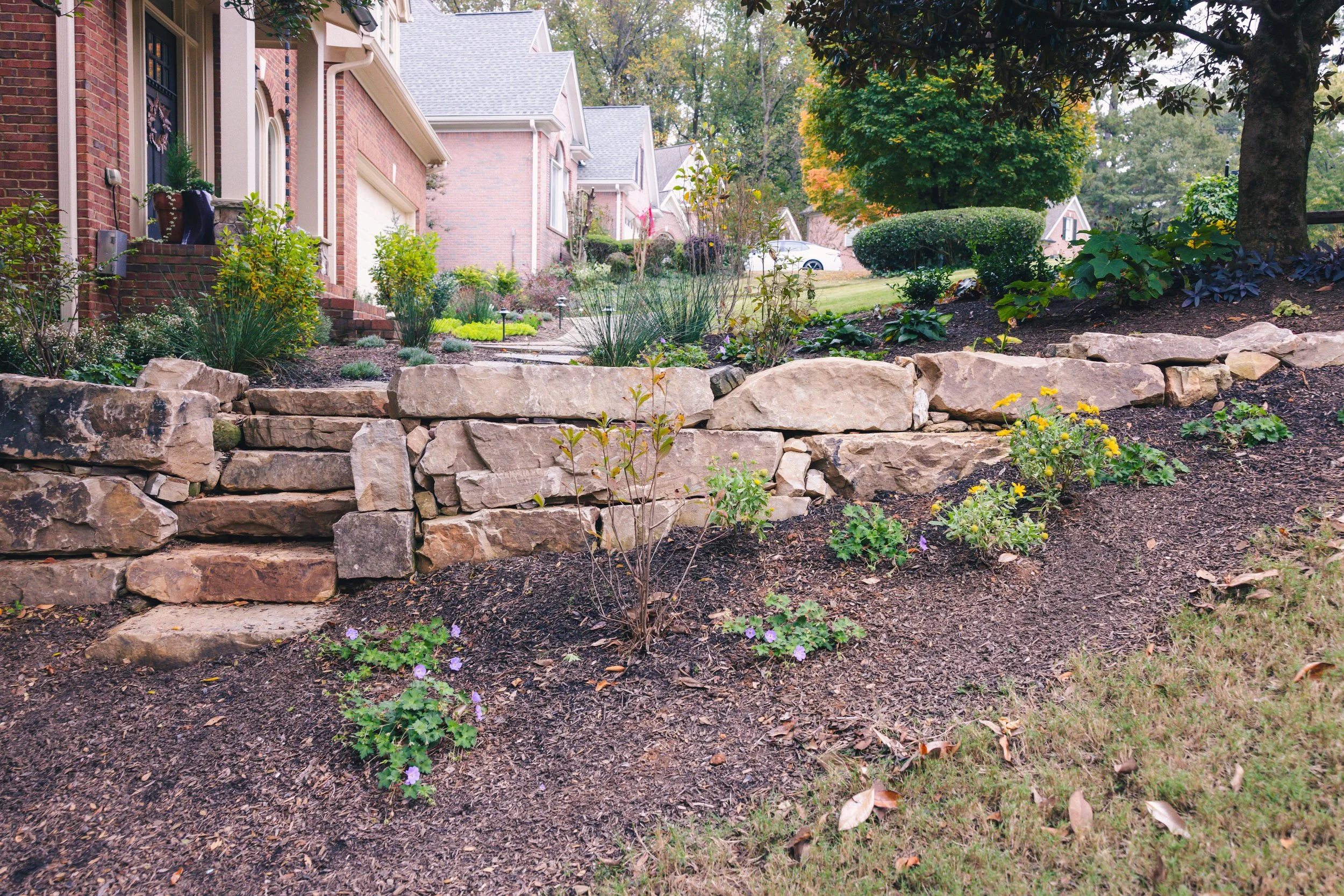 WIDEYARD2.jpg