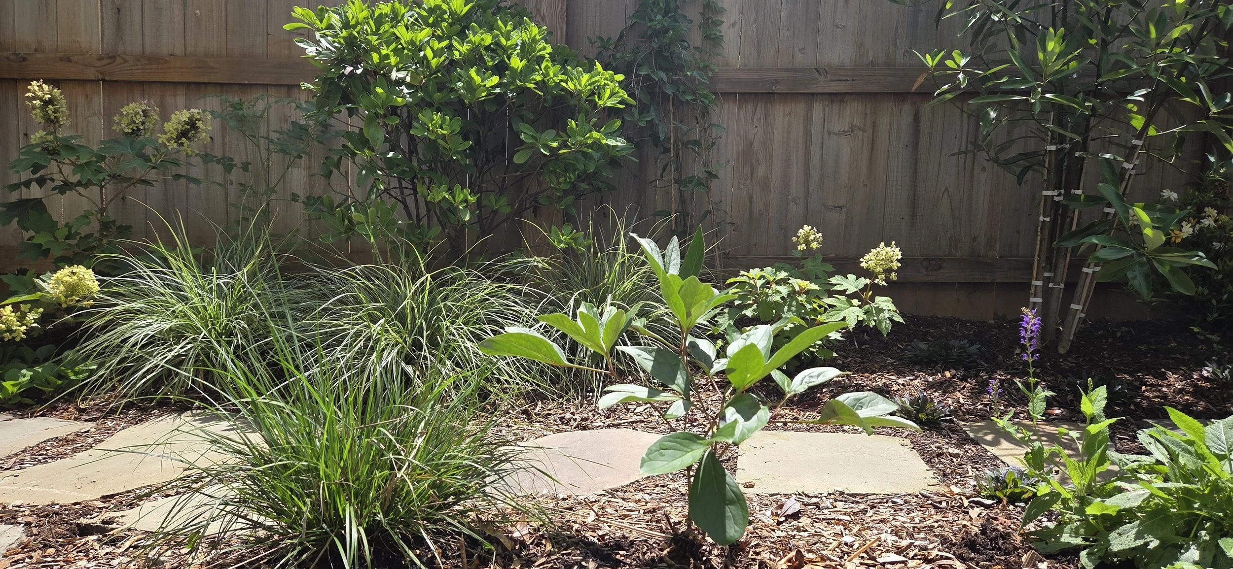 20260617_121900.jpg