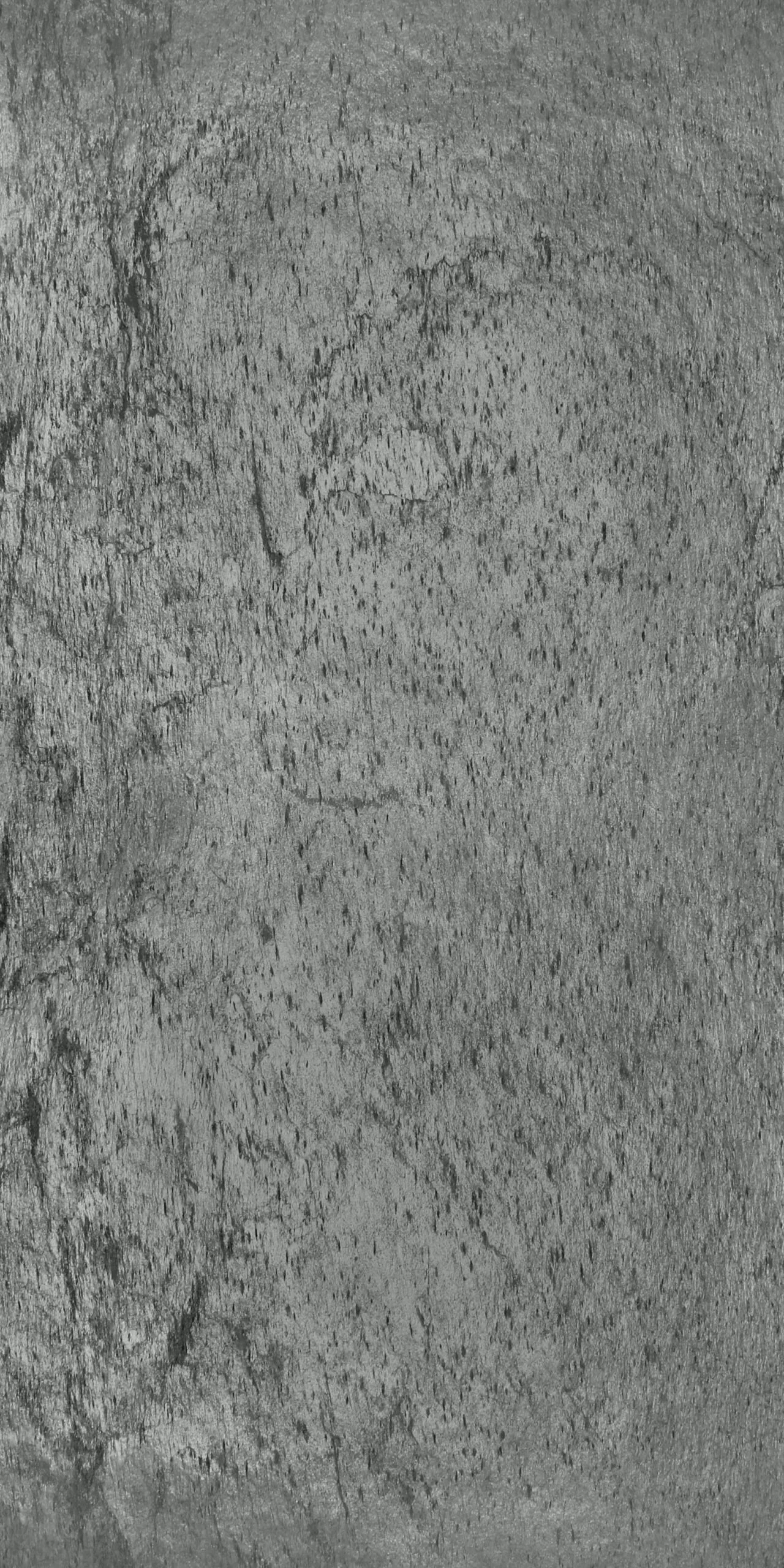 grey mika phuket.jpg