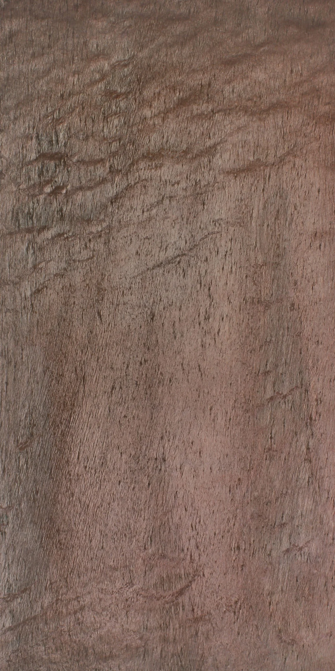 essaouira copper mica.jpg