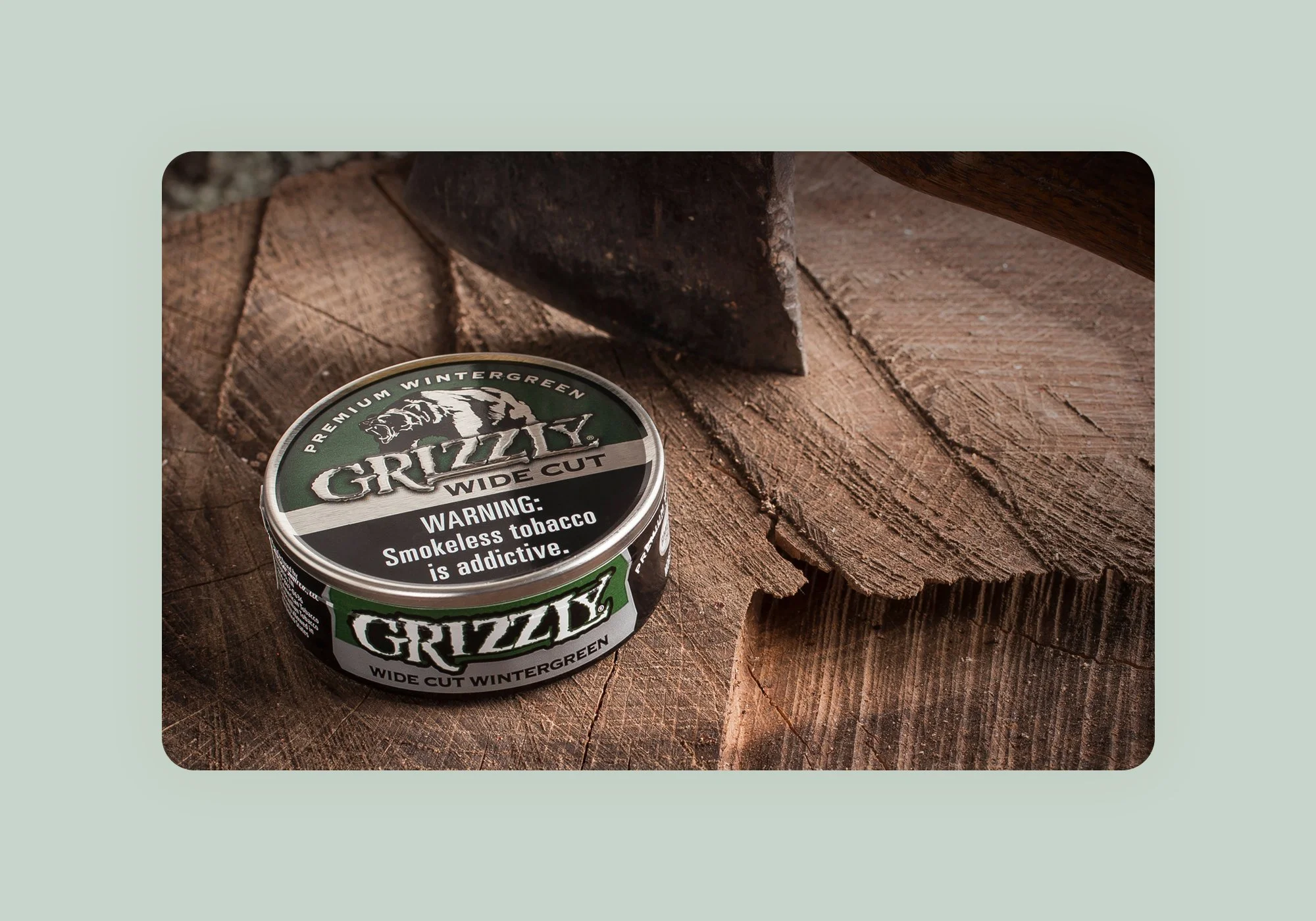 grizzly-image-6.jpg