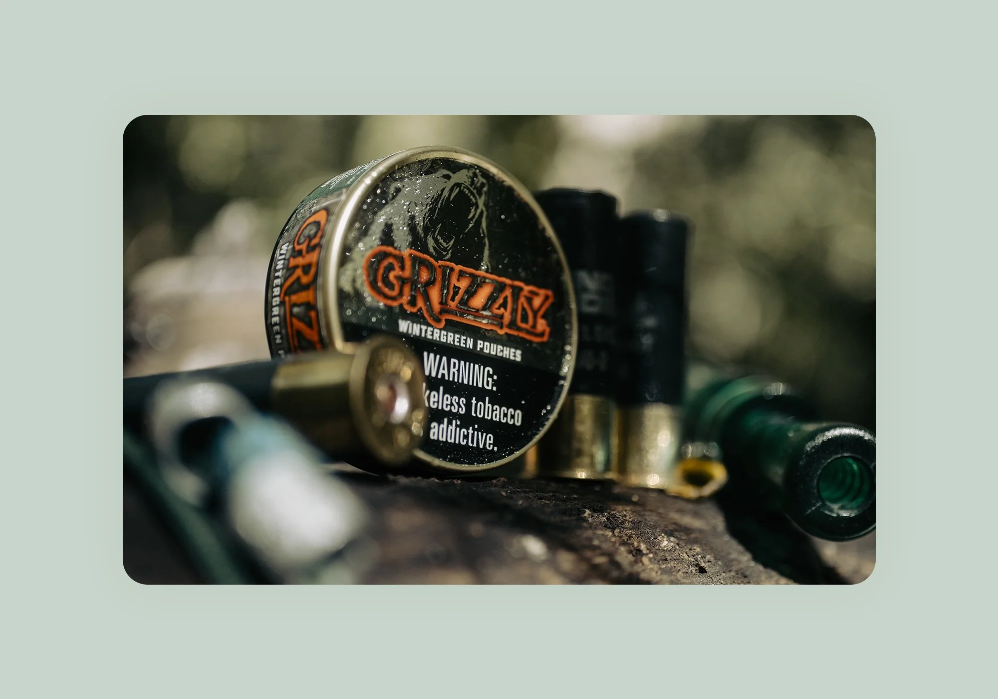 grizzly-image-9.jpg