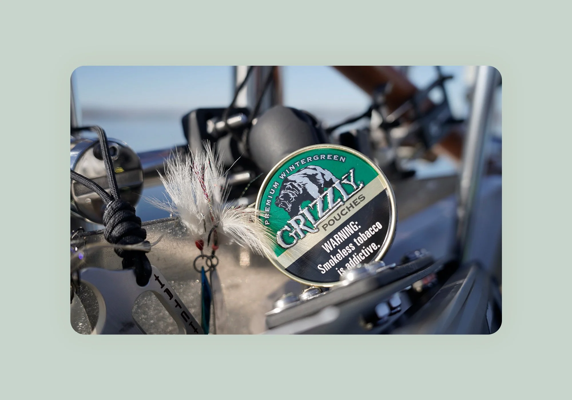 grizzly-image-10.jpg