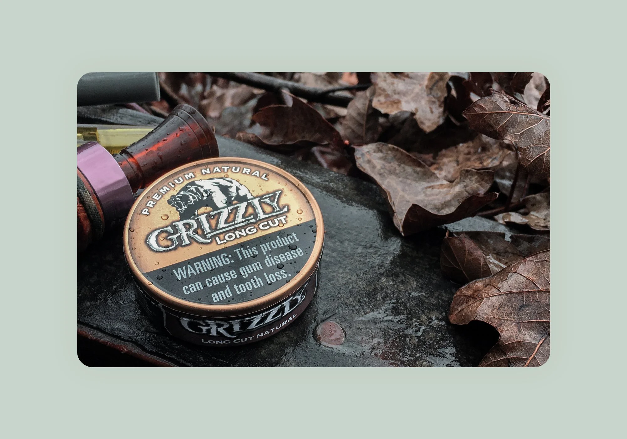 grizzly-image-4.jpg