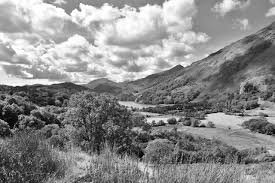 Black and white landscape of rolling hills, trees, and a cloudy sky.