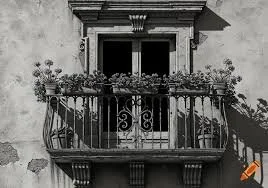 Black and white photo of a small balcony with potted plants, in front of a building with a window and decorative architectural details.