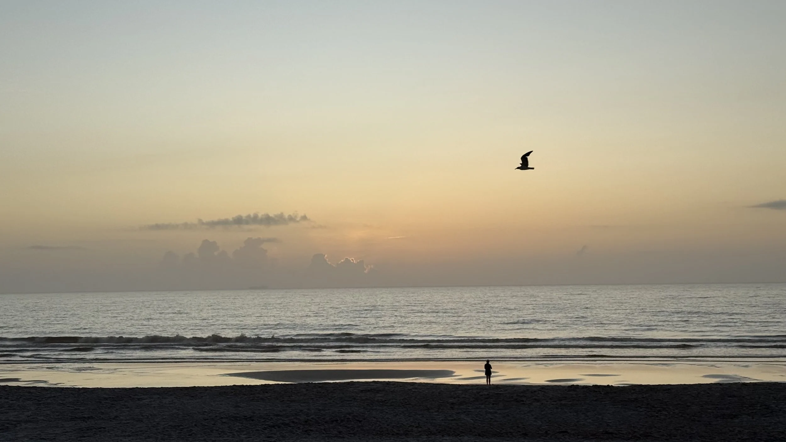 A beach at sunset with a person standing on the sand, a bird flying in the sky, and the ocean in the background.