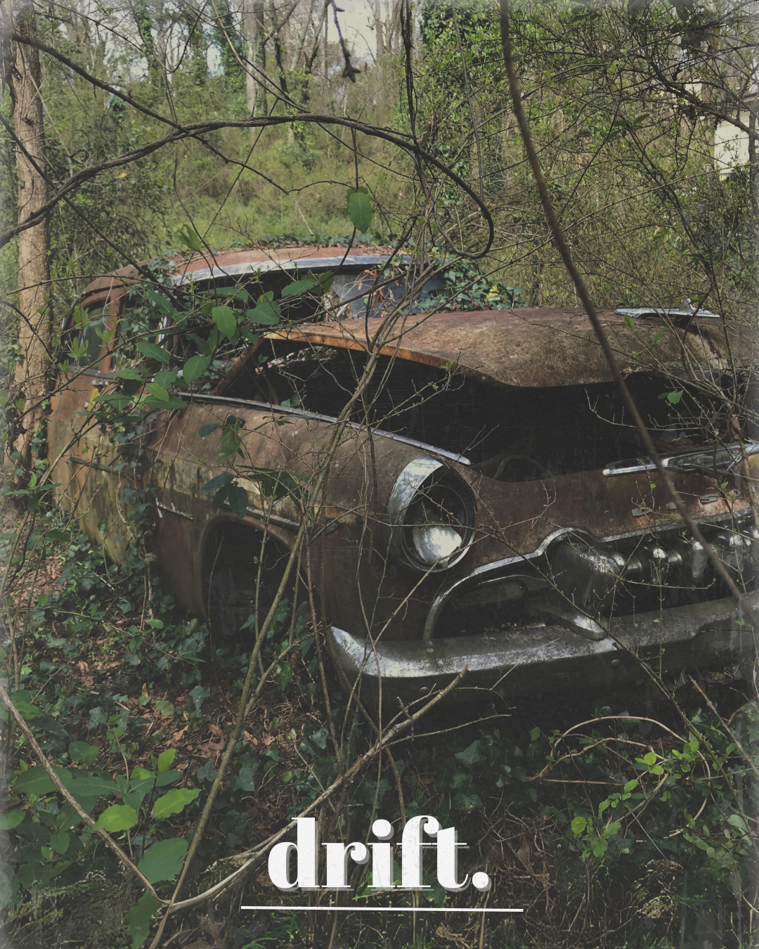 An abandoned, rusty vintage car overgrown with plants and surrounded by weeds and trees in a forested area.