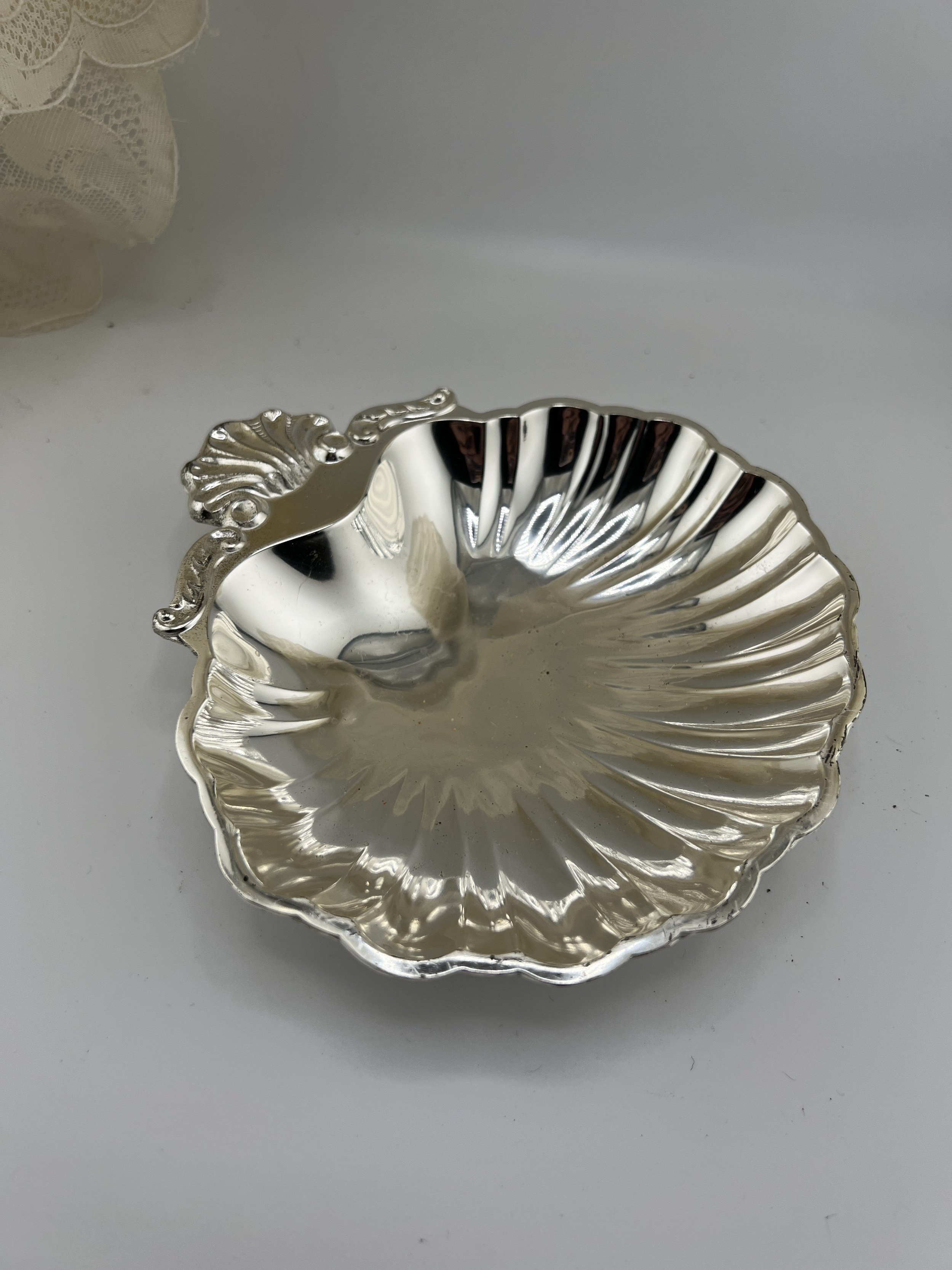 The Siren’s Silver Shell