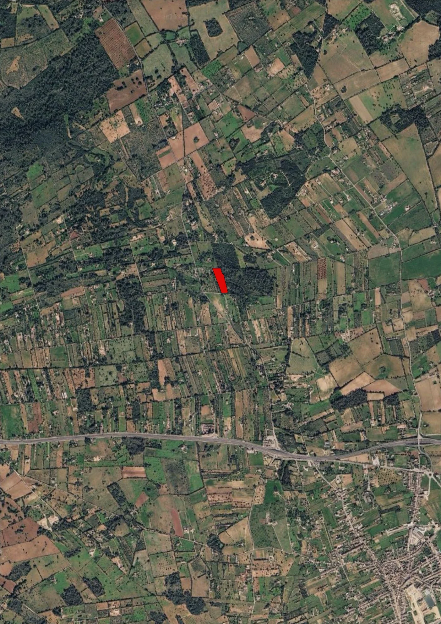 260610_022_Publication.jpg
