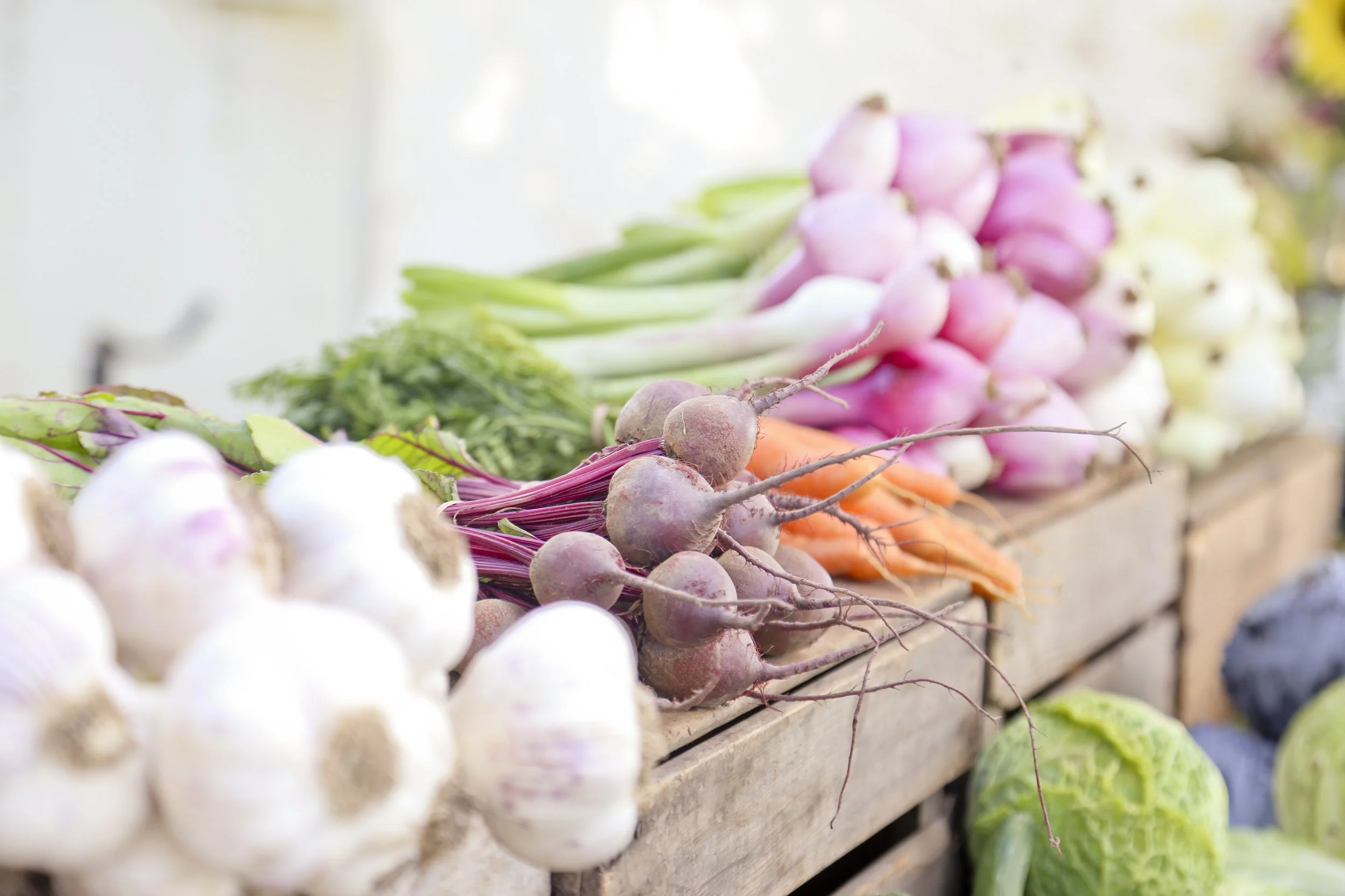 Fresh vegetables including garlic, beets, carrots, green onions, and purple and white radishes displayed on a wooden table.