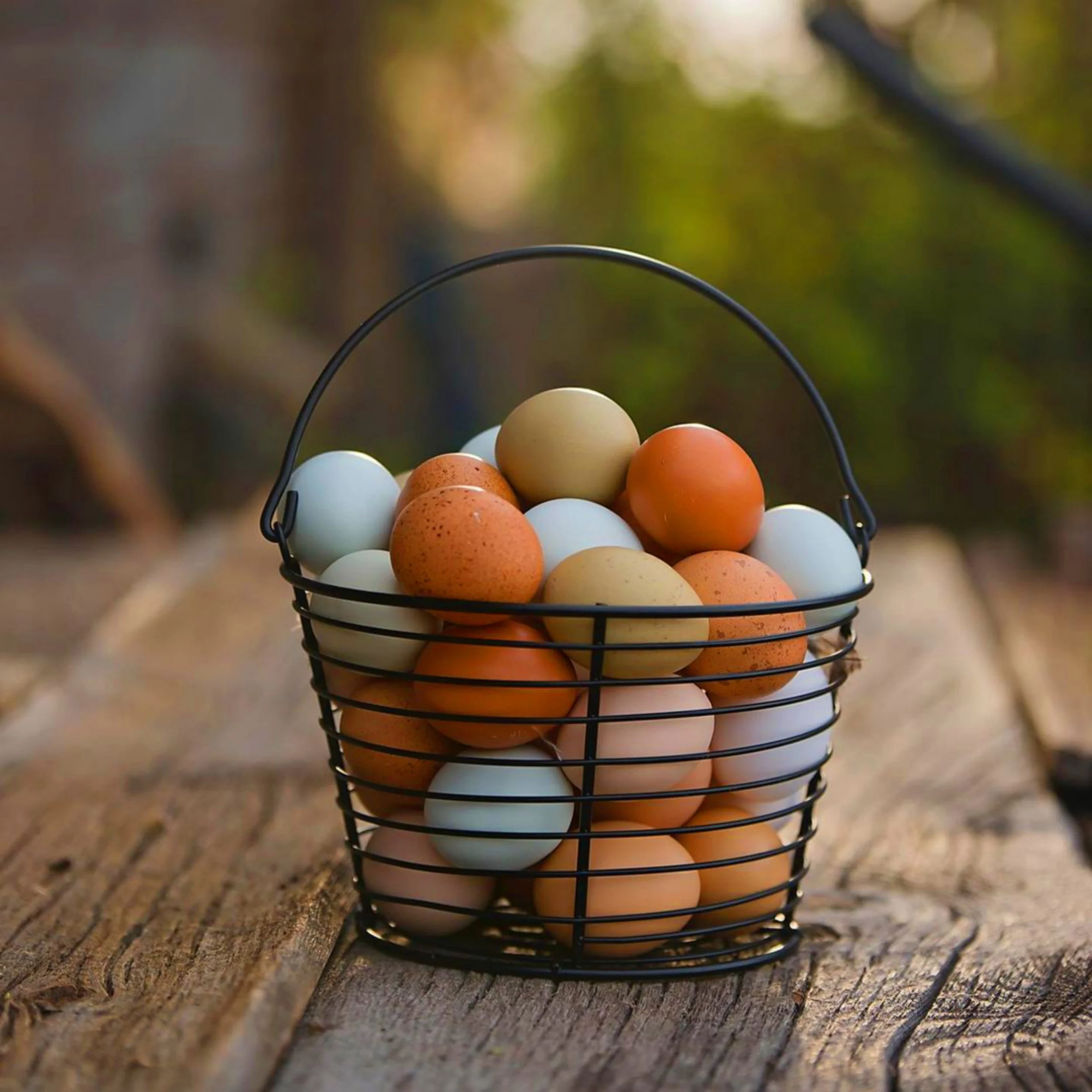 A wire basket filled with various colored eggs resting on a rustic wooden surface outdoors.