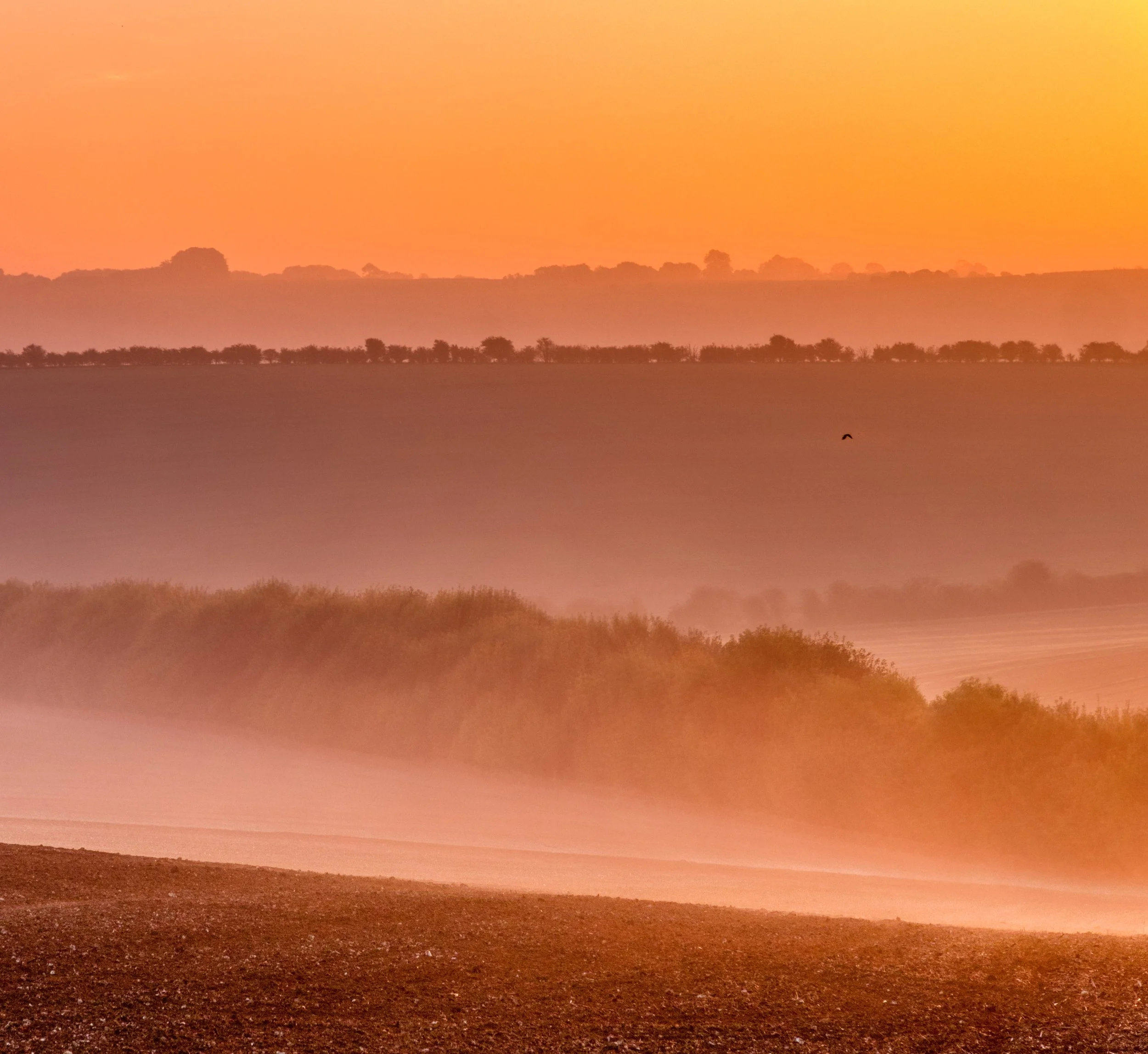 Misty Wiltshire sunrise
