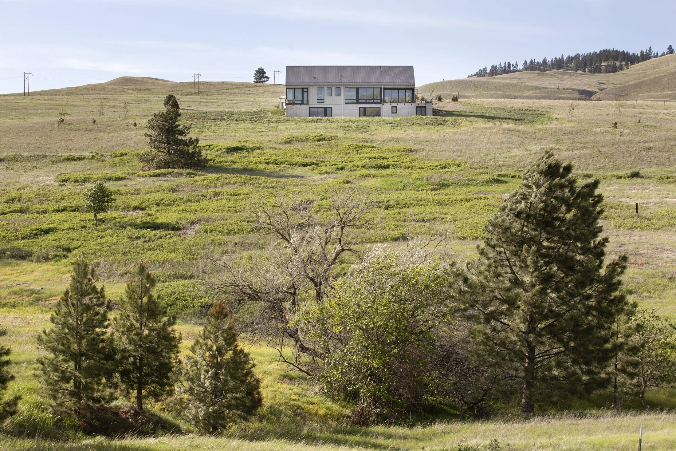 A house on a hilltop surrounded by grassy fields and trees, with power lines in the background under a clear blue sky. Custom Home built in Montana by Edgell Building.