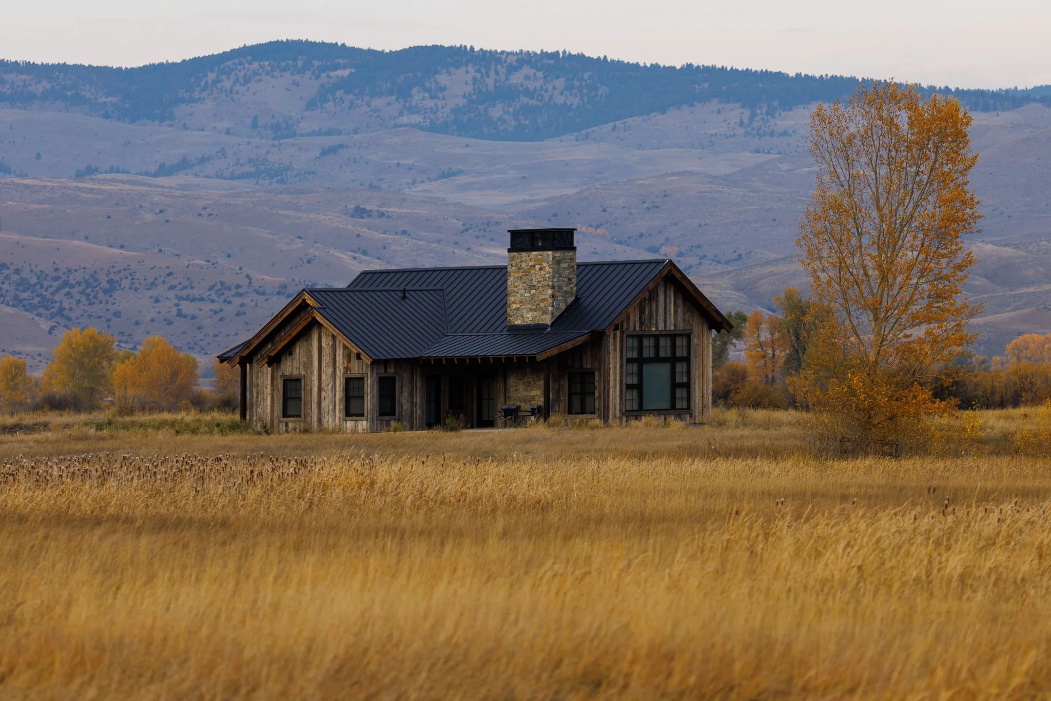 A rustic house with a stone chimney and black metal roof, situated in a field of tall golden grass with a backdrop of rolling mountains and autumn trees. Custom Home built in Montana by Edgell Building.