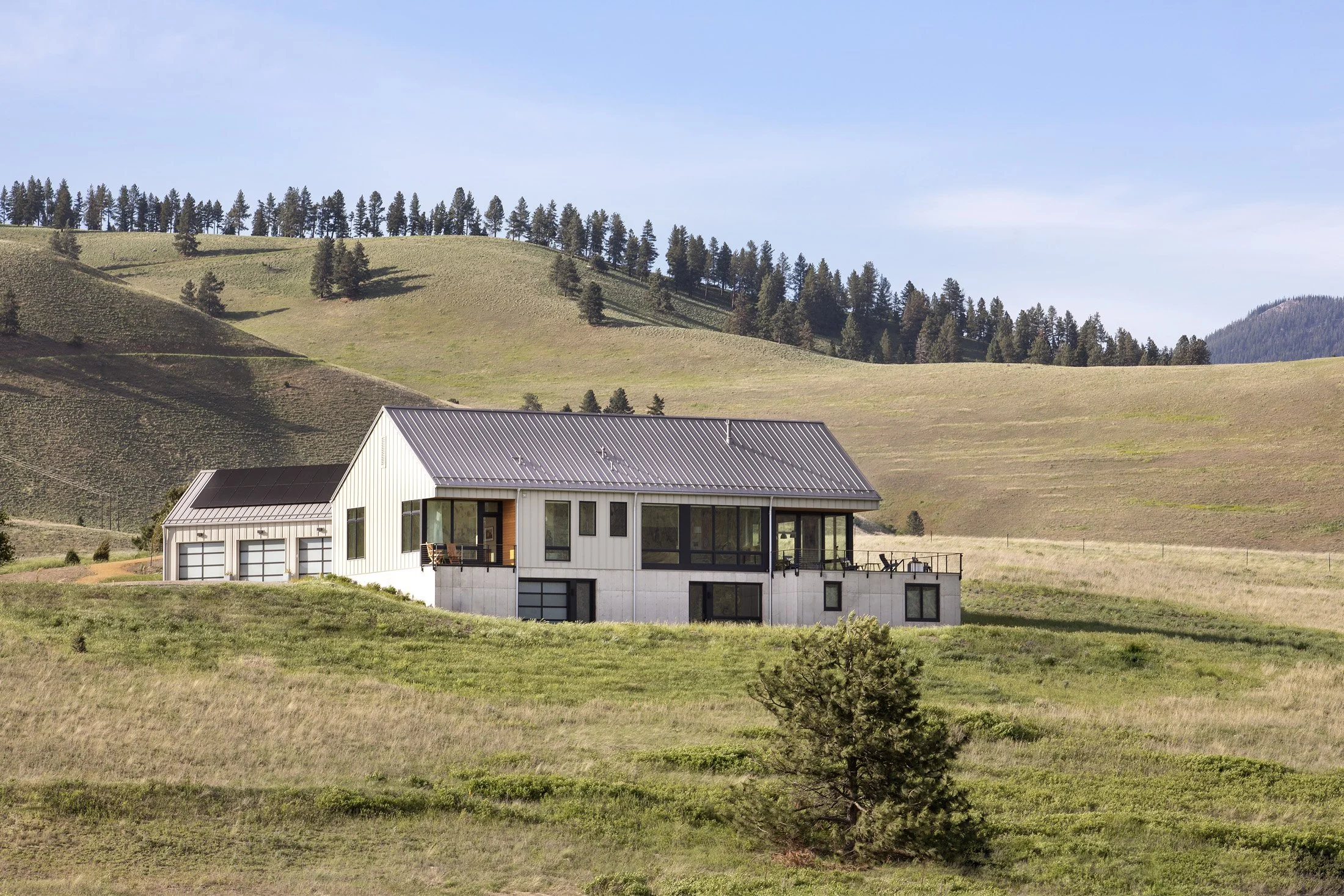 Modern house with a metal roof and large windows, situated on a grassy hillside with a tree in the foreground and rolling hills in the background. Custom Home built in Montana by Edgell Building.