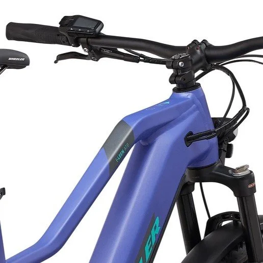 Wheeler i-Leen ATB Gr. M (5).jpeg