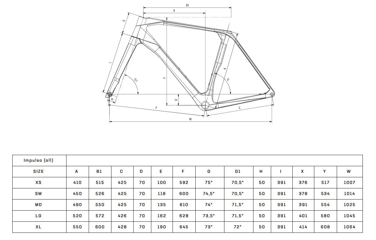 Bianchi Impulso Pro L (17).jpeg