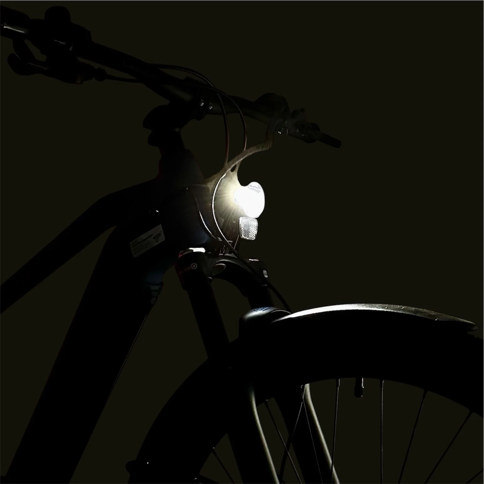 Wheeler i-Leen ATB Gr. M (14).jpeg