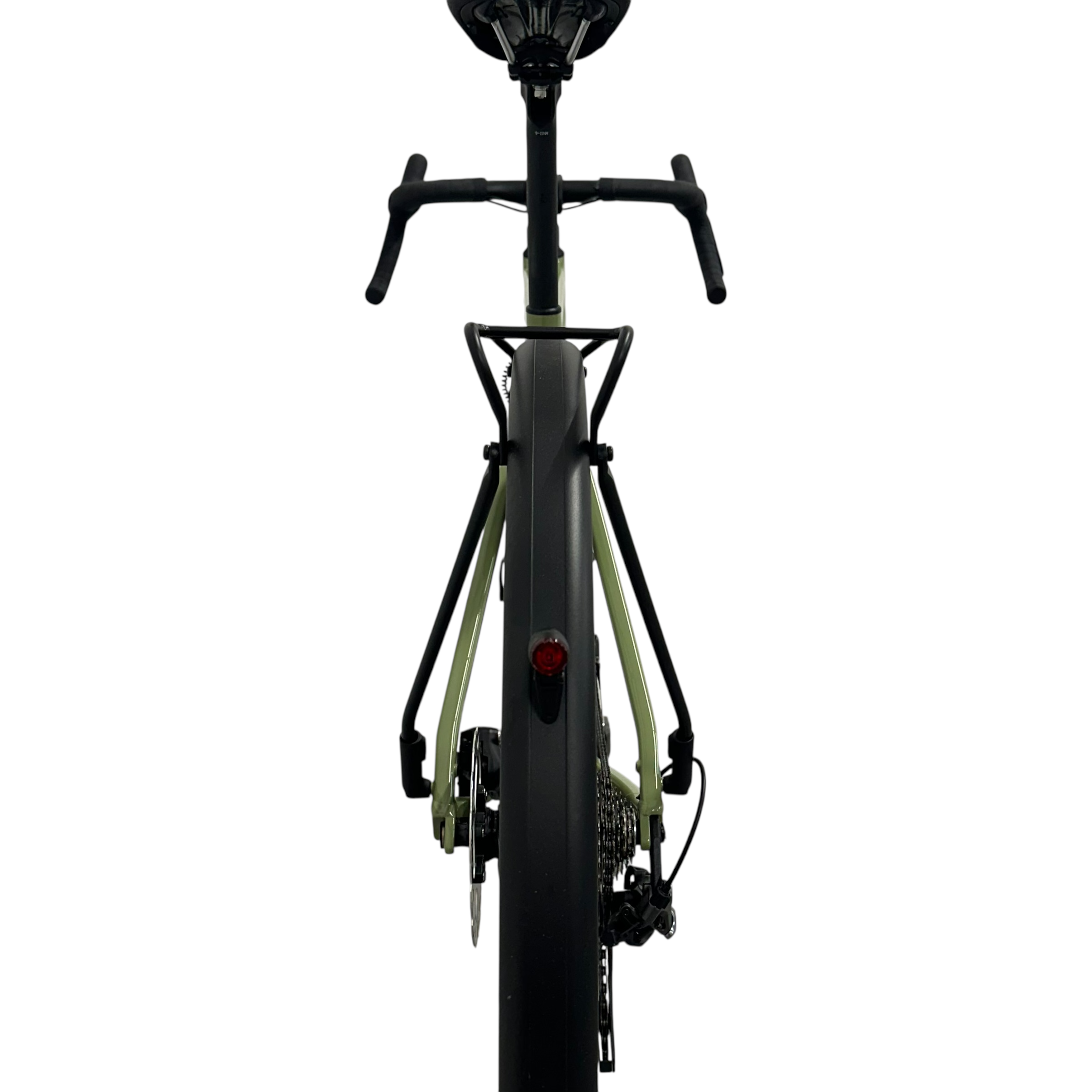Rose Backroad AL EQ 53 cm (9).png