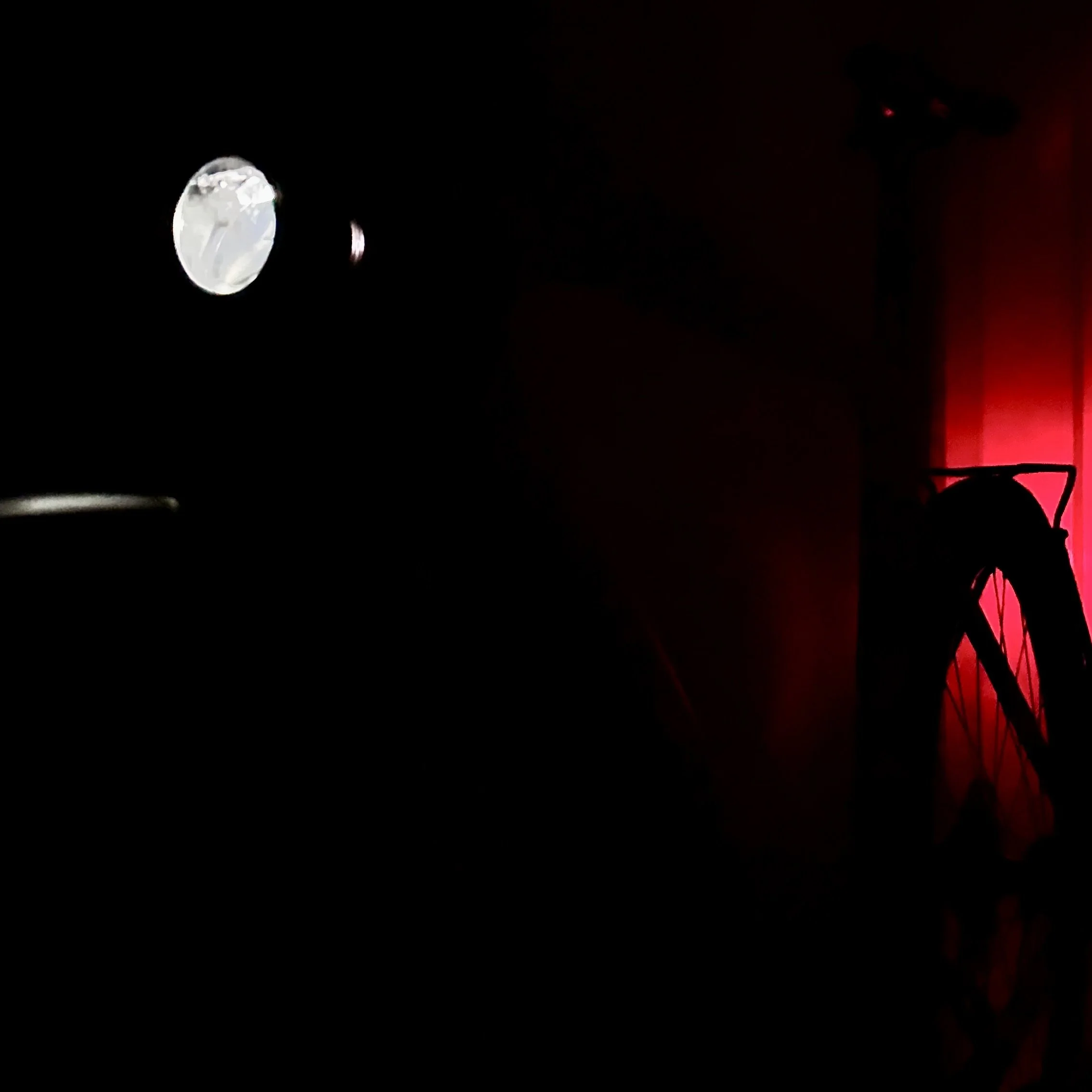 Rose Backroad Carbon EQ (20).jpeg