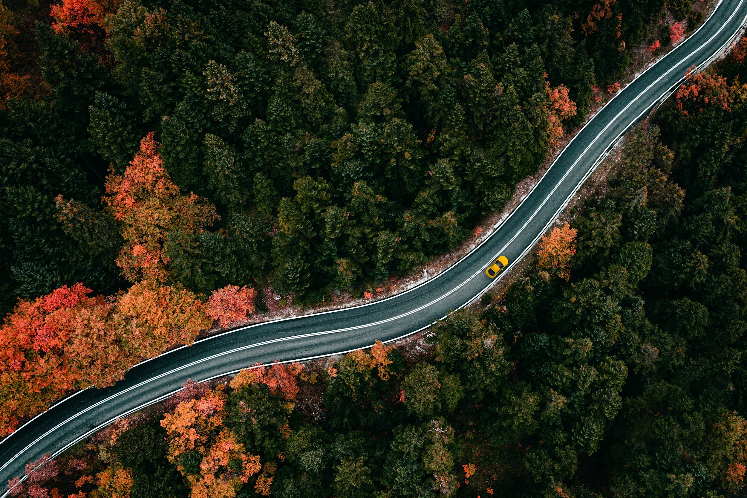 Vue aérienne d'une route sinueuse passant à travers une forêt aux arbres aux feuilles orange, rouge et vert, en automne.