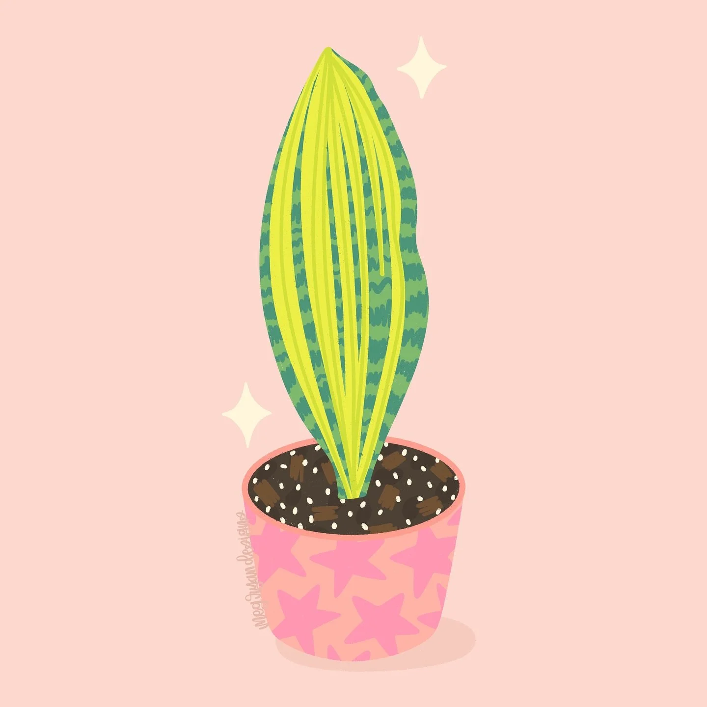 Fun fact, Whale Fin Snake Plants get their name from those huge, paddle shaped leaves that really do resemble a whale&rsquo;s fin. My sister-in-law @jaimemuckey picked one up at the plant show we went to a few months ago. 

Meg Ryan Designs | Whale F