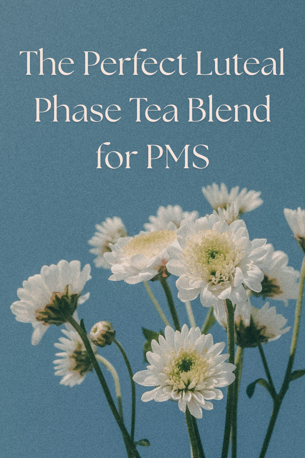 Luteal Phase Tea Blend: A Grounding Herbal Tea for PMS, Bloating, Irritability &amp; Hormone Support