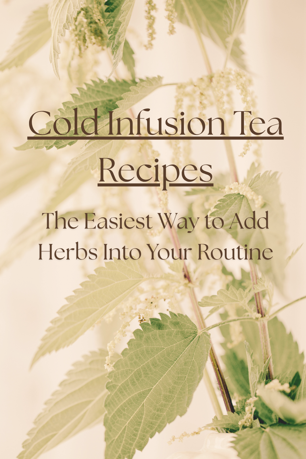 Cold Infusion Tea Recipes: The Easiest Way to Add Herbs Into Your Routine