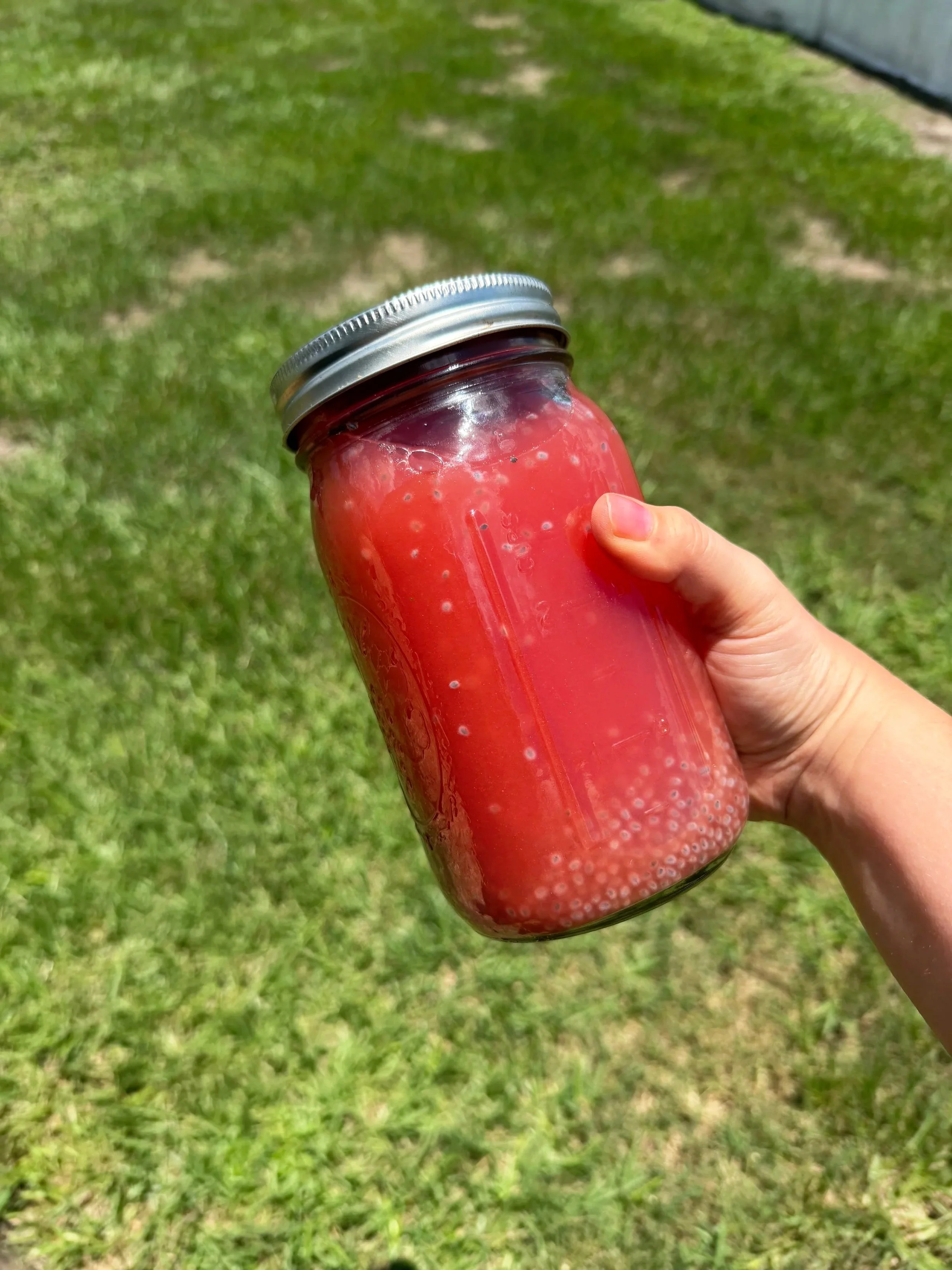 3 Watermelon Drinks for Summer: Hydration and Energy the TCM Way