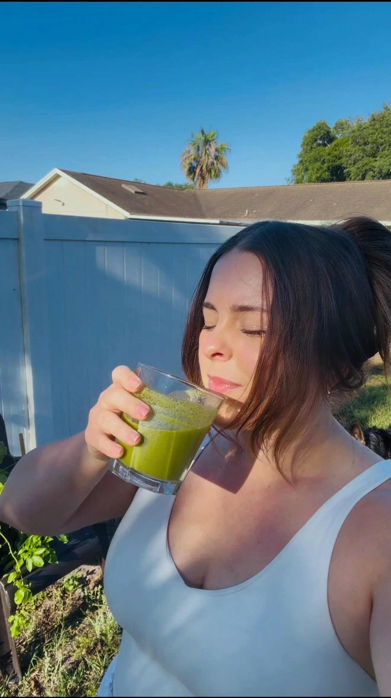 The Best Spring Juice Recipe for Hydration, Liver Support &amp; Gut Health