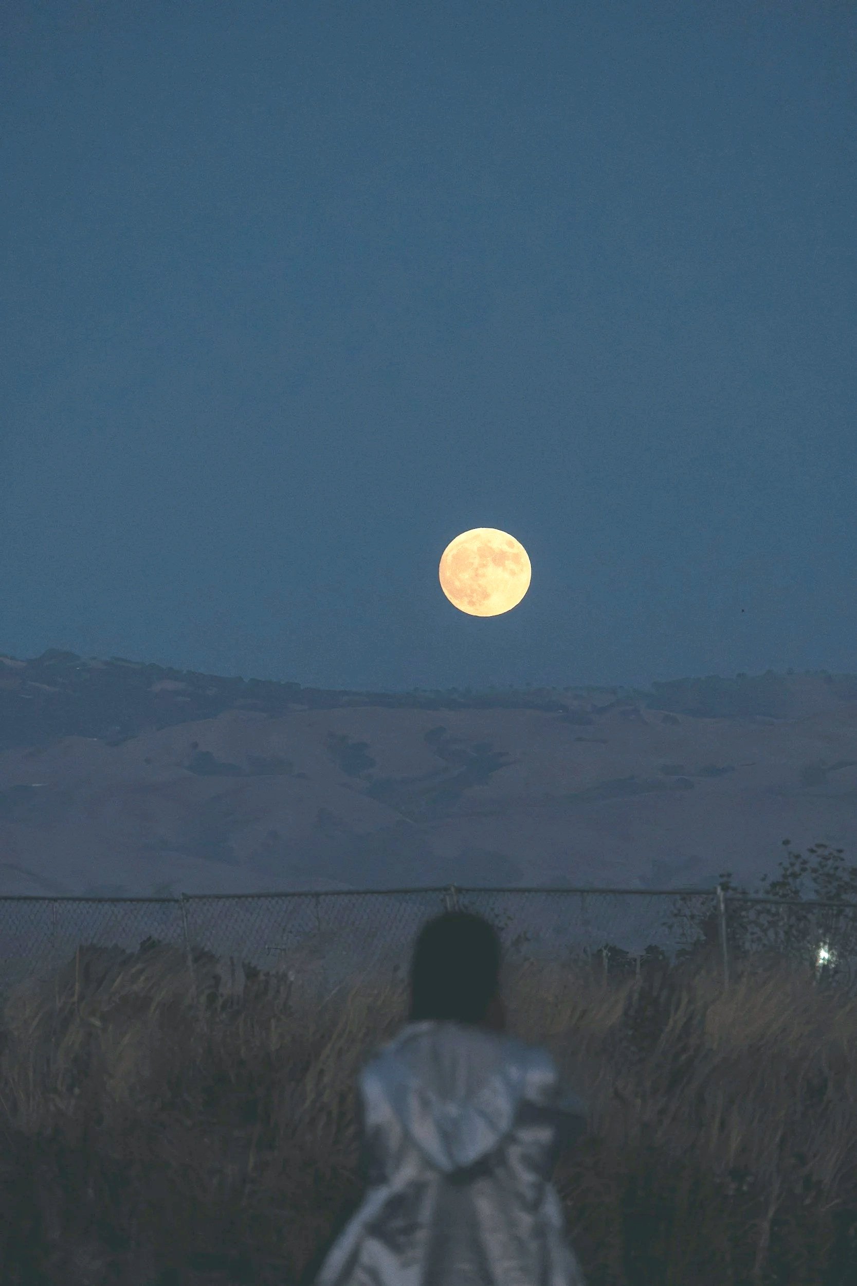 Lunar Wisdom:What the Timing of Your Menstrual Cycle is Telling You