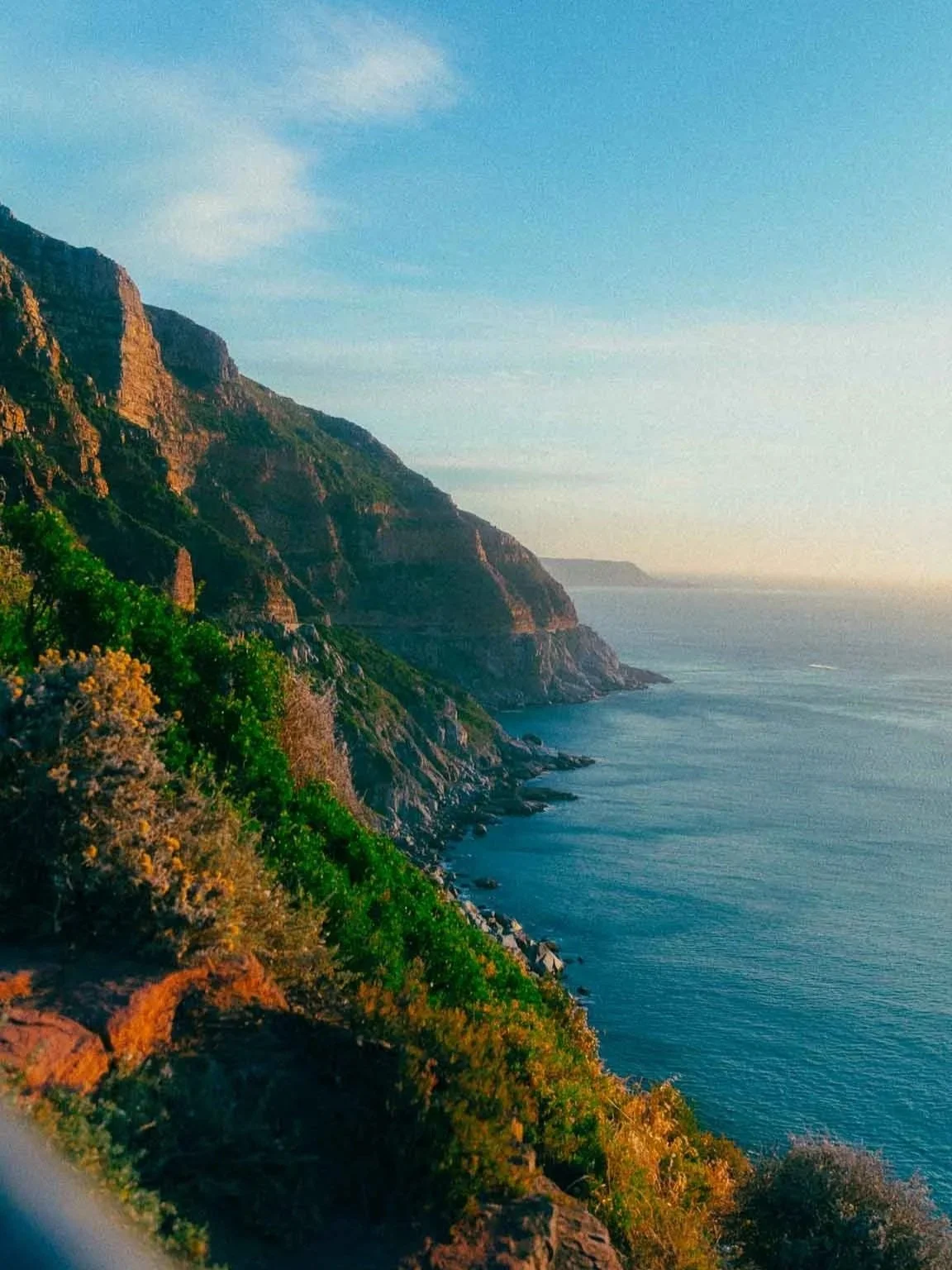 Coastal cliffs with dense green vegetation along the shoreline, overlooking a calm ocean under a clear sky.