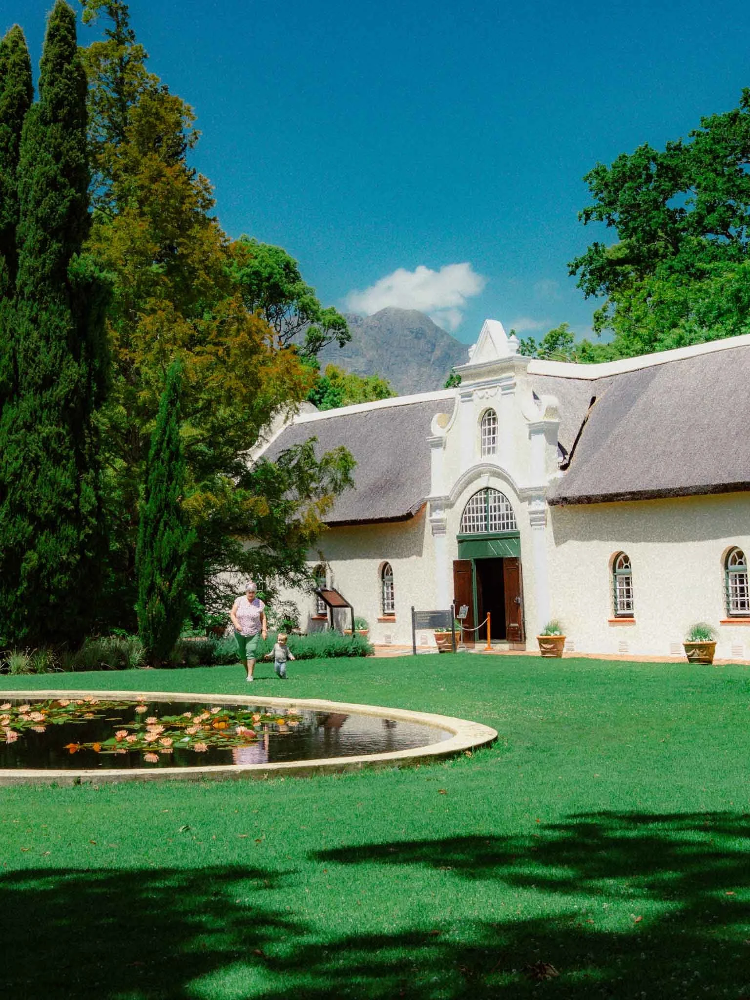 A historic white church with a gray roof, surrounded by lush green trees and a pond with floating pink water lilies, on a bright sunny day.