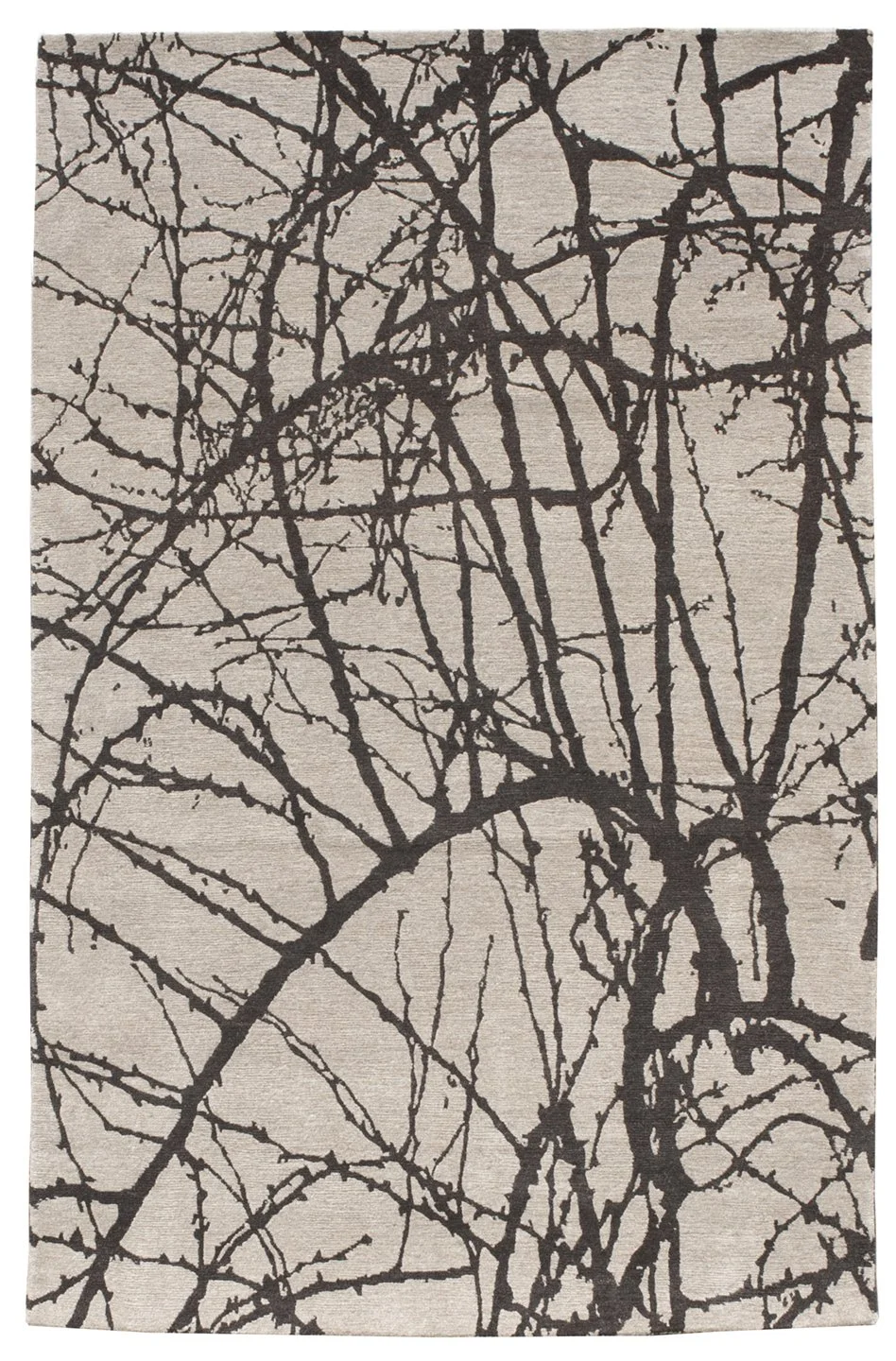*Barberry4x6.web.jpg