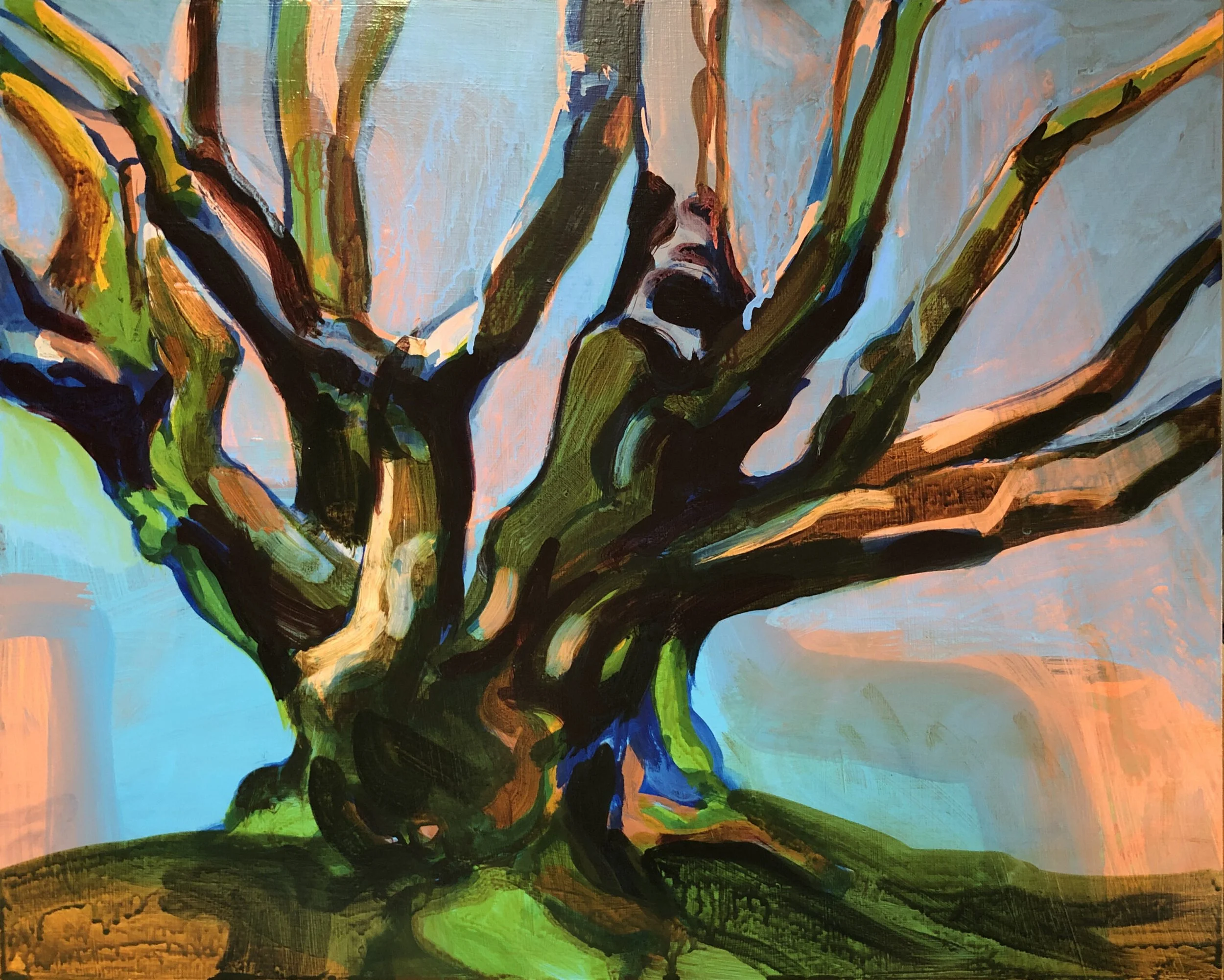 Island Oak, 2022, Acrylic on panel, 16 x 20 inches