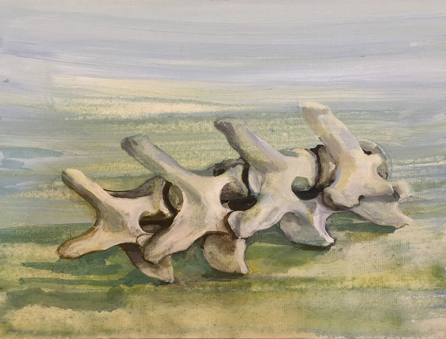 Family Phocidae, 2017, Acrylic on canvas, 12 x 16 inches