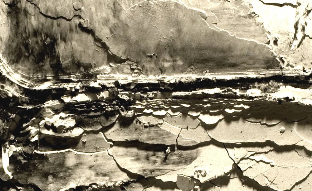 seawall, 2014, inkjet print, 16 x 22 inches