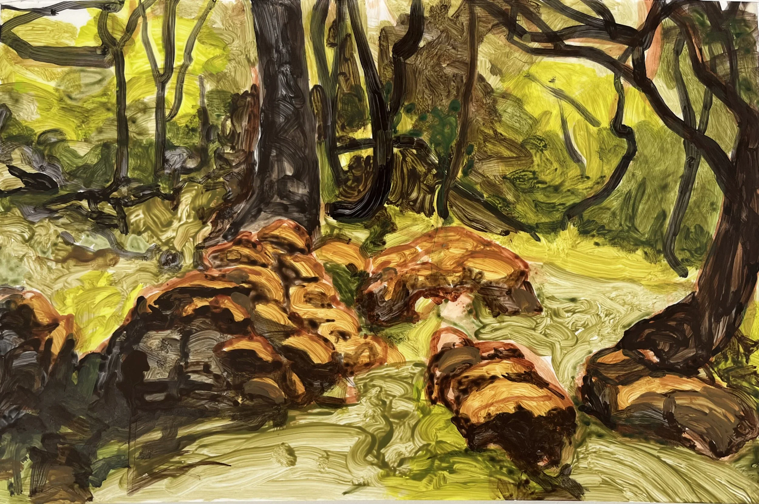 

Irish Moss, 2023, Acrylic on plastic, 12.5 × 19 inches