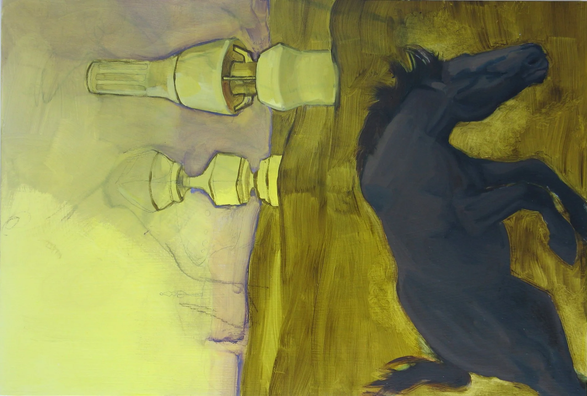 free horse, 2007