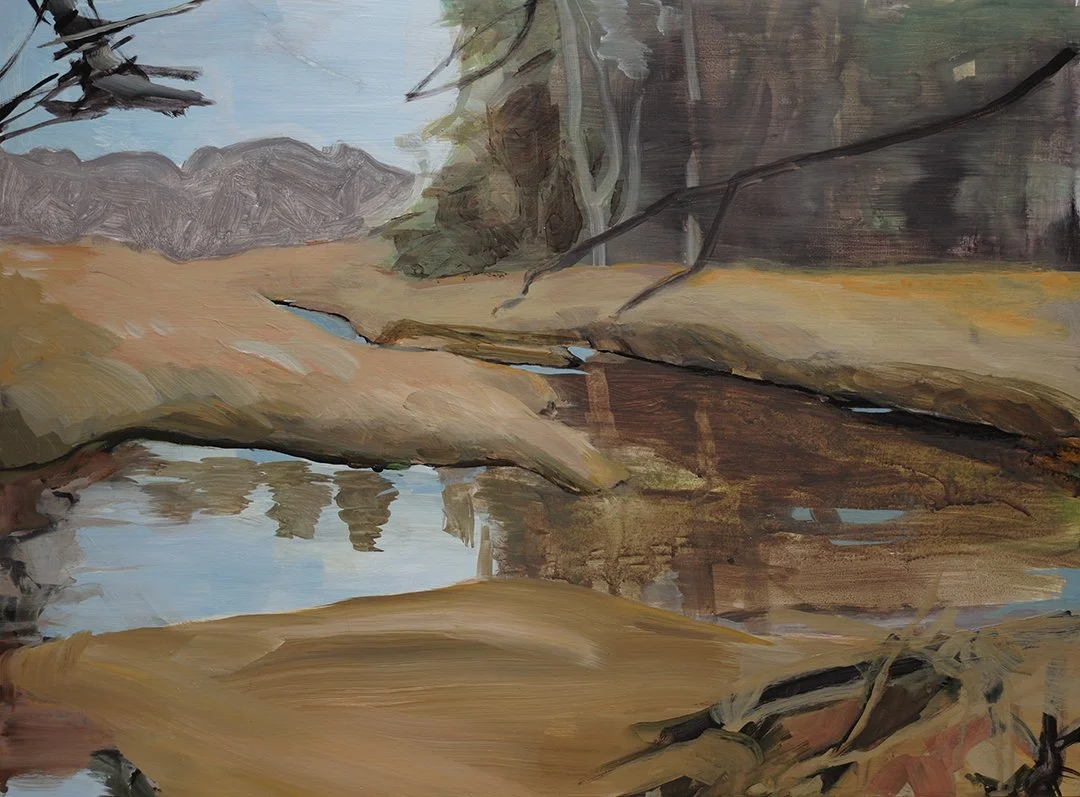 
10 Mile Lower Brook Rd, 2023, Acrylic on panel 16×20 inches